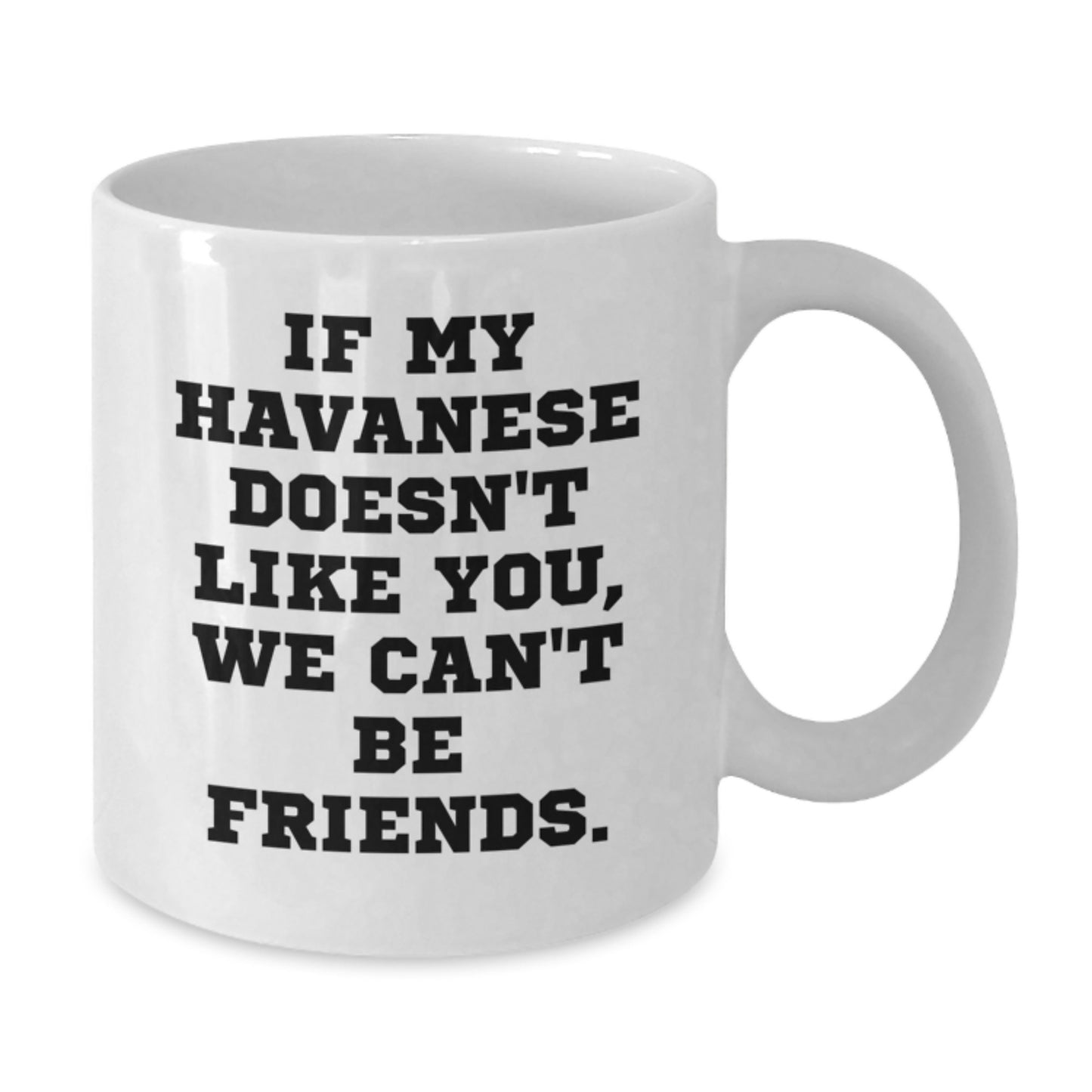 Funny Havanese Dog Lover Birthday Unique Gifts from Friends and Family for Havanese Dog Owners White Coffee Mug - Additional