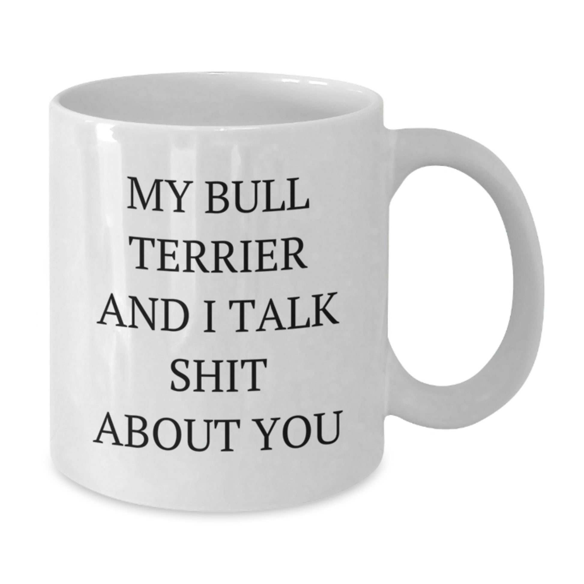 Funny Bull Terrier Dog Gifts from Friends for Birthday, White Coffee Mug with 'My Bull Terrier And I Talk Shit About You' Quote - Additional