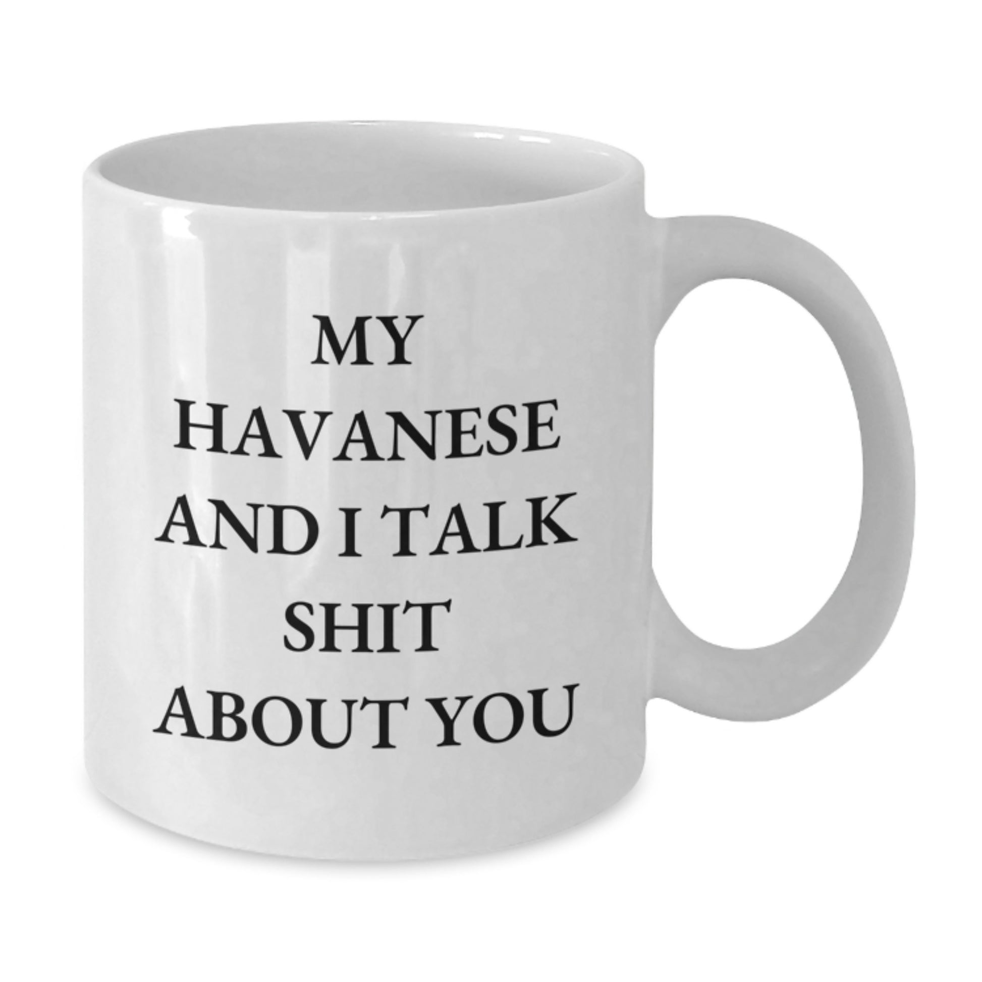 Havanese Dog Lover Gifts from Friends for Christmas Unique Mugs with Funny Quote My Havanese And I Talk Shit About You White Ceramic Coffee Mug 11oz/15oz - Additional