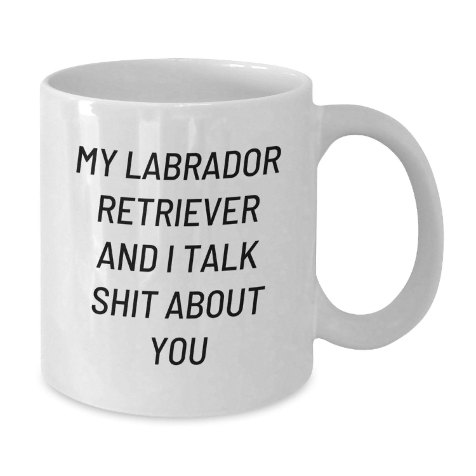 Funny Labrador Retriever Dog Gifts from Friends, White Coffee Mug for Birthday Unique Gifts, My Labrador Retriever And I Talk Shit About You Quote - Additional