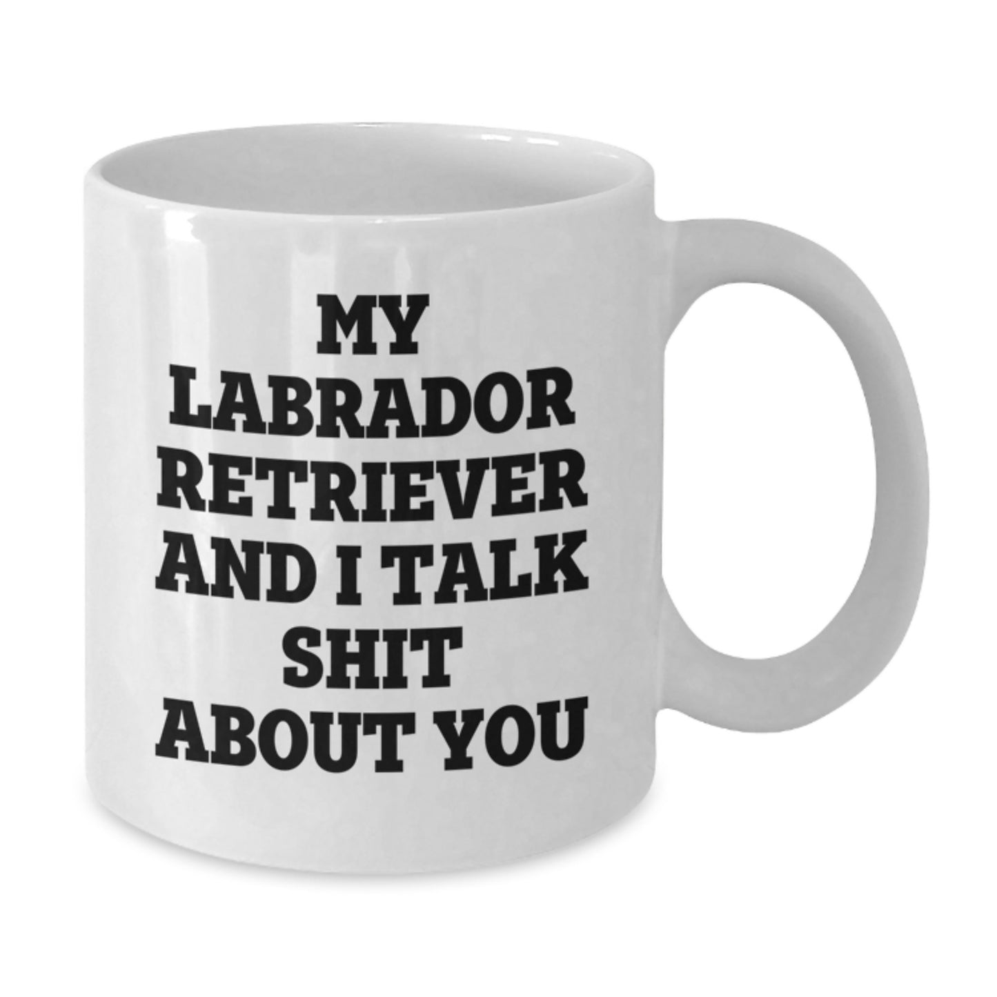 Funny Gifts from Friends to Family for Labrador Retriever Dog Lover - My Labrador Retriever And I Talk Shit About You White Coffee Mug for Birthday - Additional