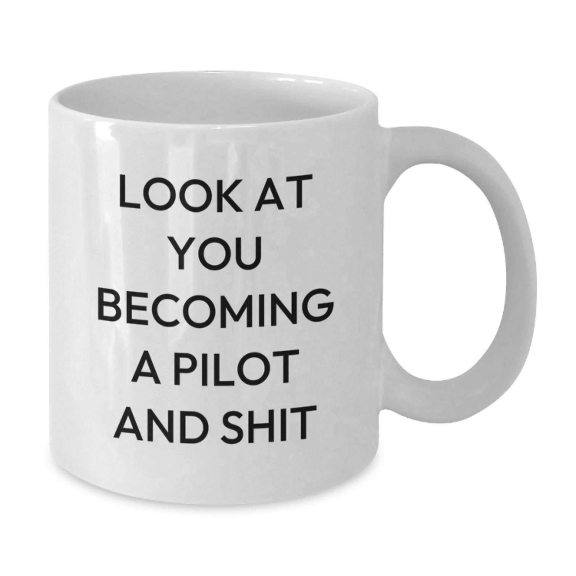 Funny Pilot White Coffee Mug Gifts for Friends, Men, Women, from Family and Friends, Perfect Graduation Unique Gifts - Additional