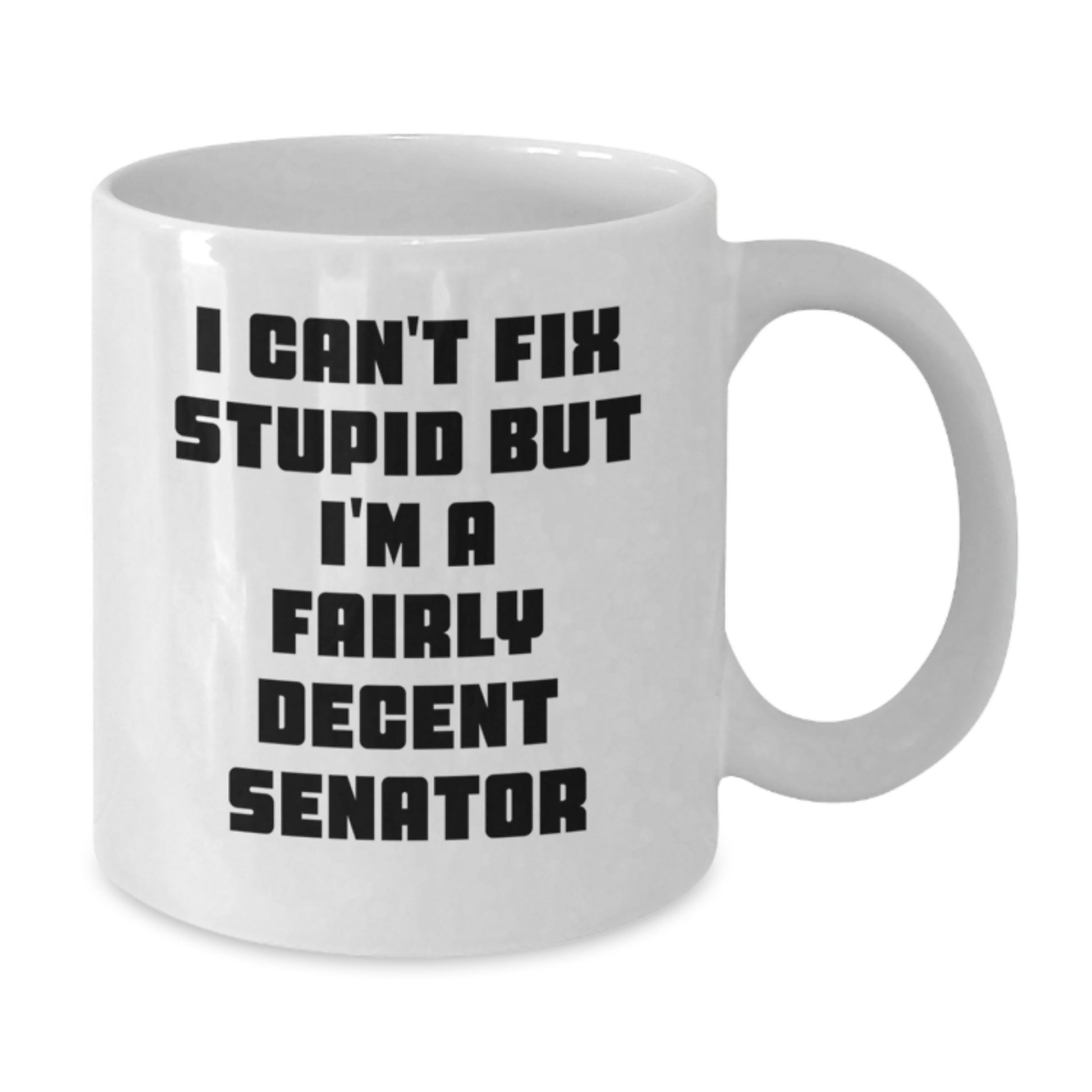 Funny Senator White Coffee Mug, Graduation Unique Gifts for Men, Gifts from Friends, I Can't Fix Stupid But I'm A Fairly Decent Senator - Additional