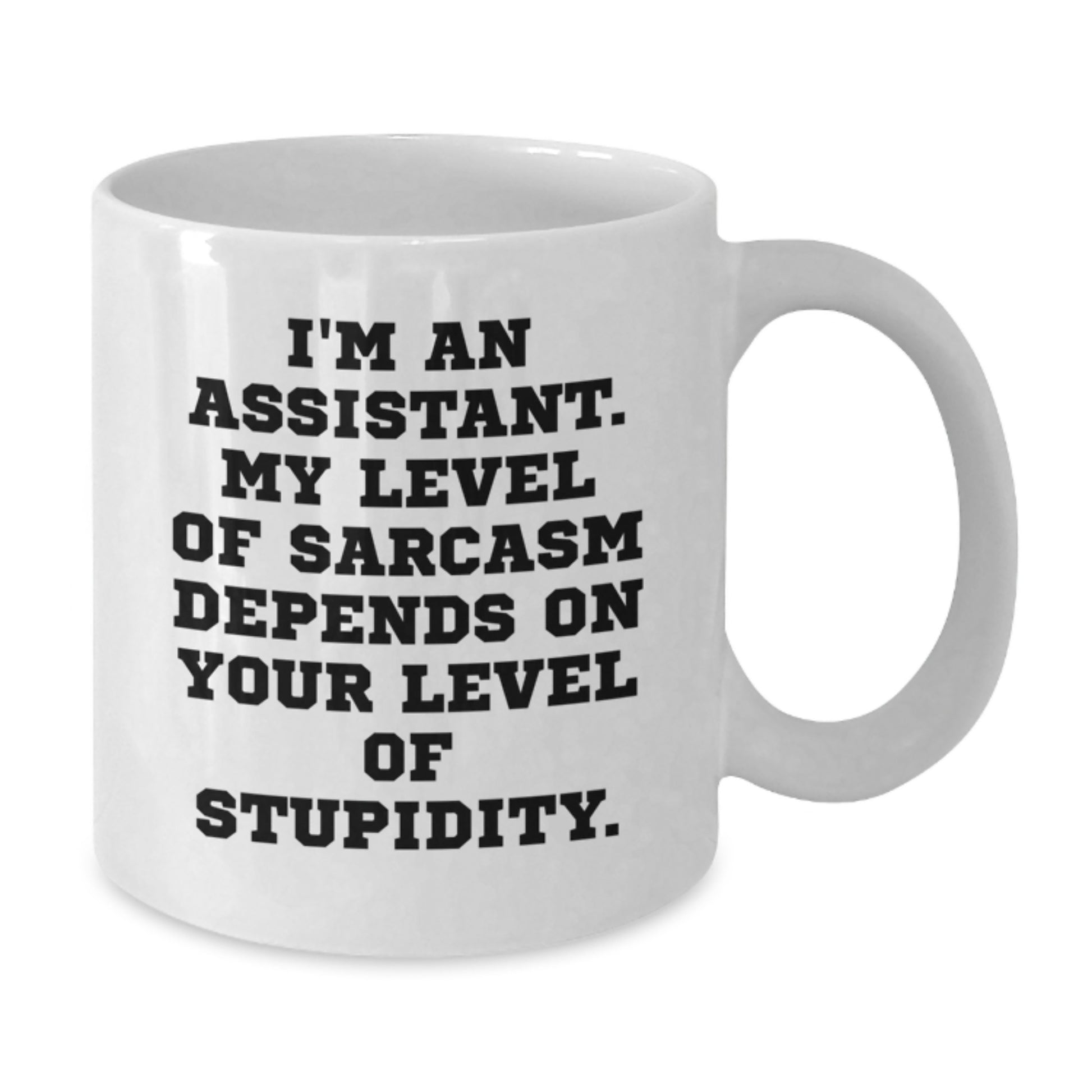 Funny Assistant Gifts from Friends for Graduation, White Coffee Mug with Sarcasm Quote - Additional