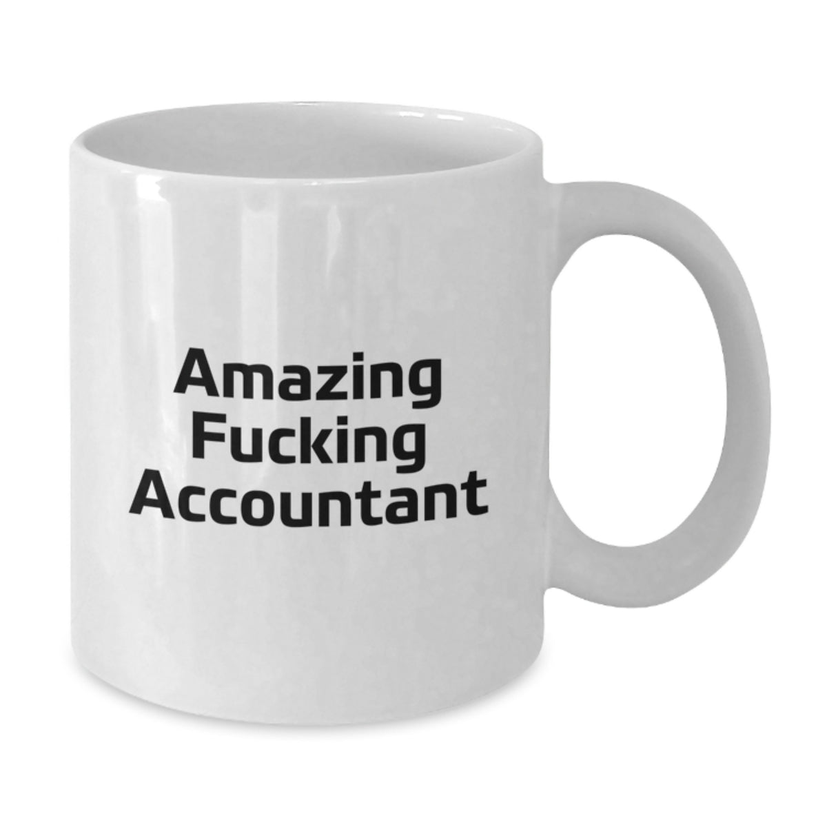 Christmas Gift for Her Witty Accountant Present - Amazing Fucking - Additional