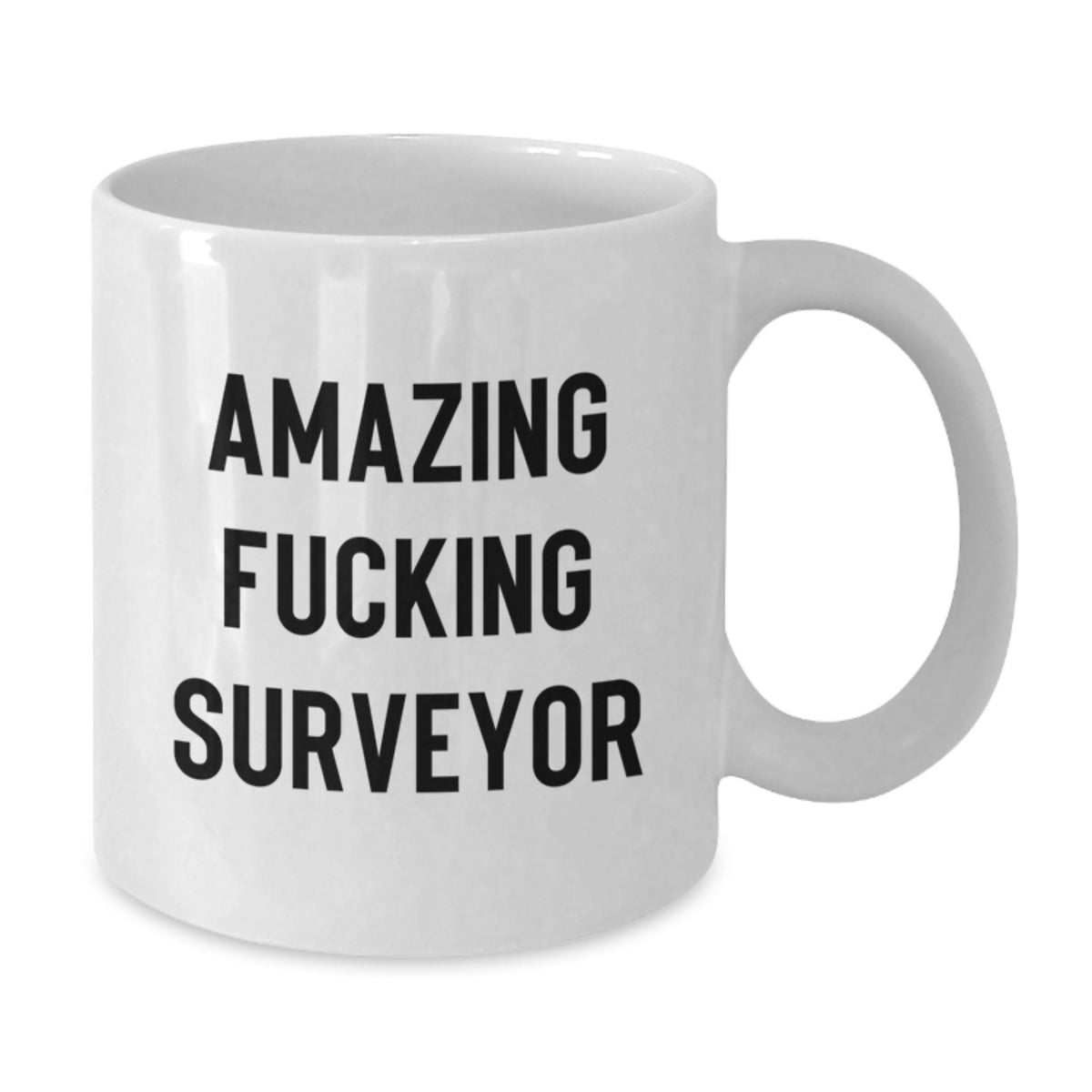 Surveyor Gift for Him - Amazing Fucking Surveyor Keepsake Coffee Mug - Additional