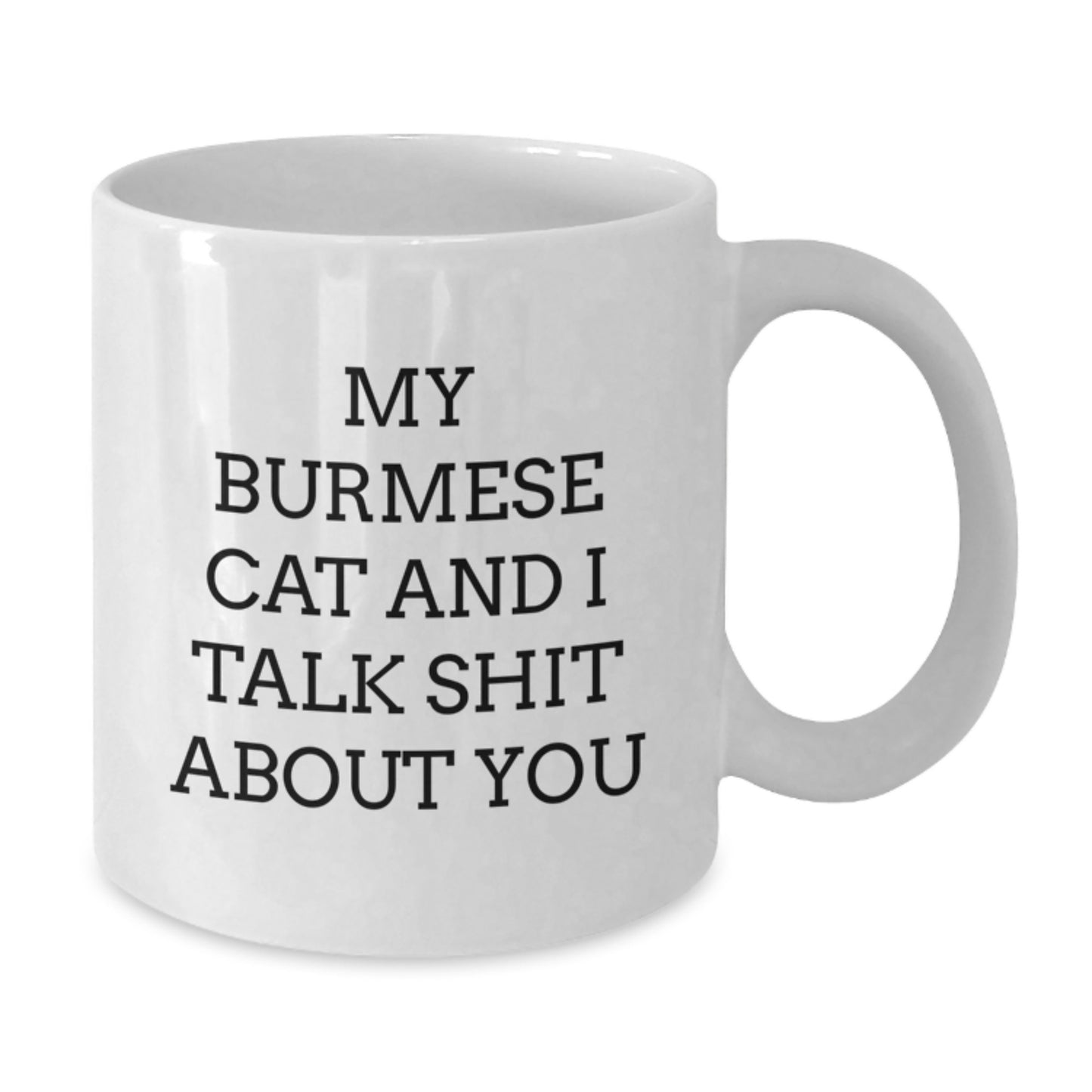 Funny Burmese Cat Gifts for Her, White Coffee Mug with My Burmese Cat And I Talk Shit About You Quote, Unique Mother's Day Unique Gifts from Friends - Additional