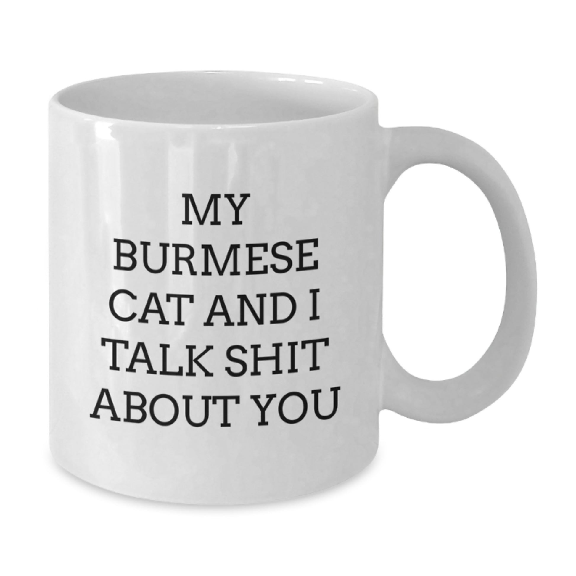 Funny Burmese Cat Gifts for Her, White Coffee Mug with My Burmese Cat And I Talk Shit About You Quote, Unique Mother's Day Unique Gifts from Friends - Additional