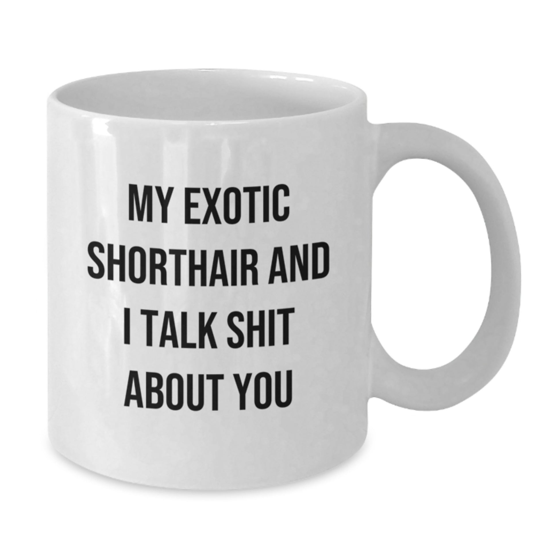 Funny Gifts for Exotic Shorthair Cat Lovers - White Coffee Mug for Mom - Exotic Shorthair Cat and I Talk Shit About You - Unique White Coffee Mug for Women - Gifts from Family - Additional