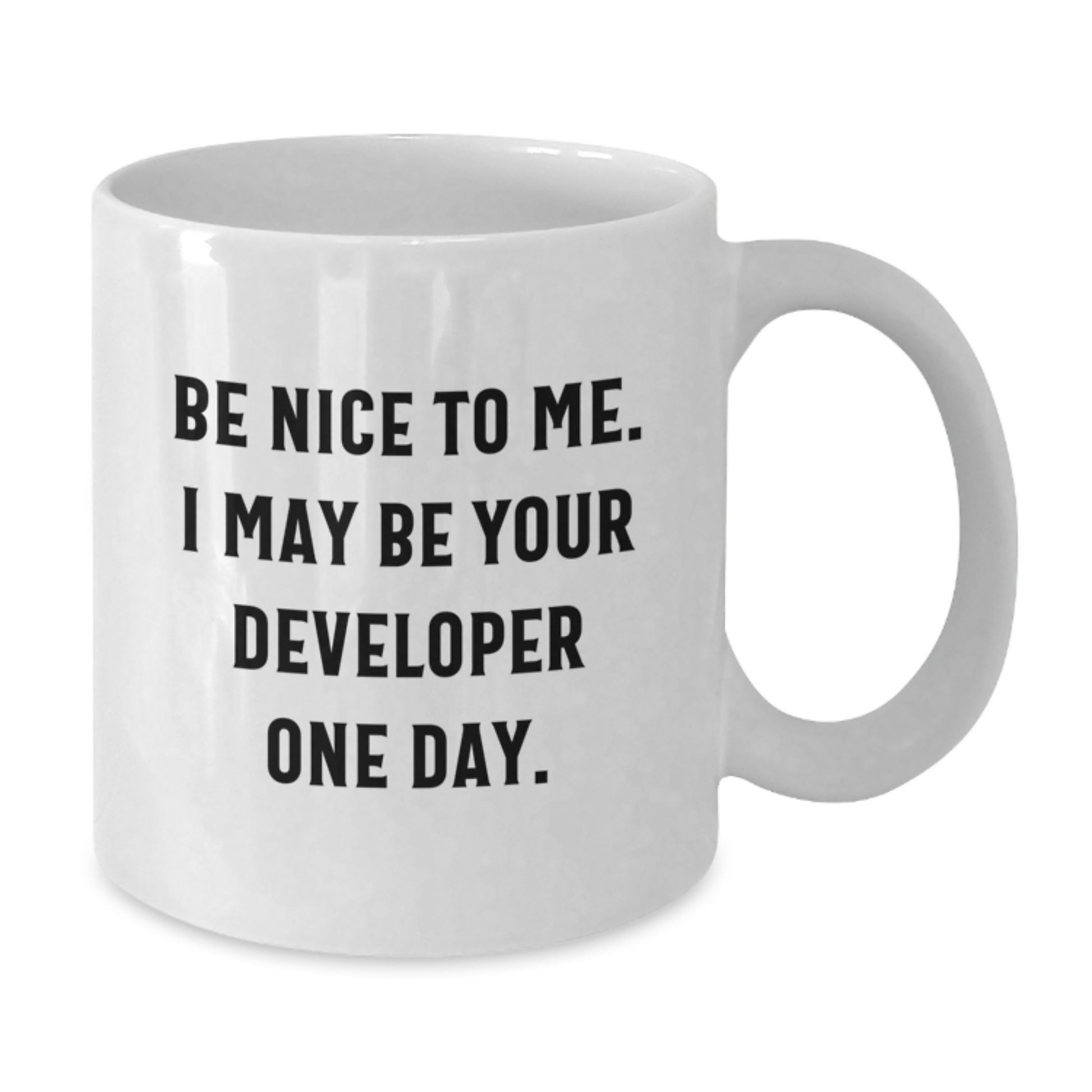 Funny Developer Gifts from Friends - White Coffee Mug for Men, Women, Coworkers, Family - 'Be Nice To Me. I May Be Your Developer One Day.' - Additional