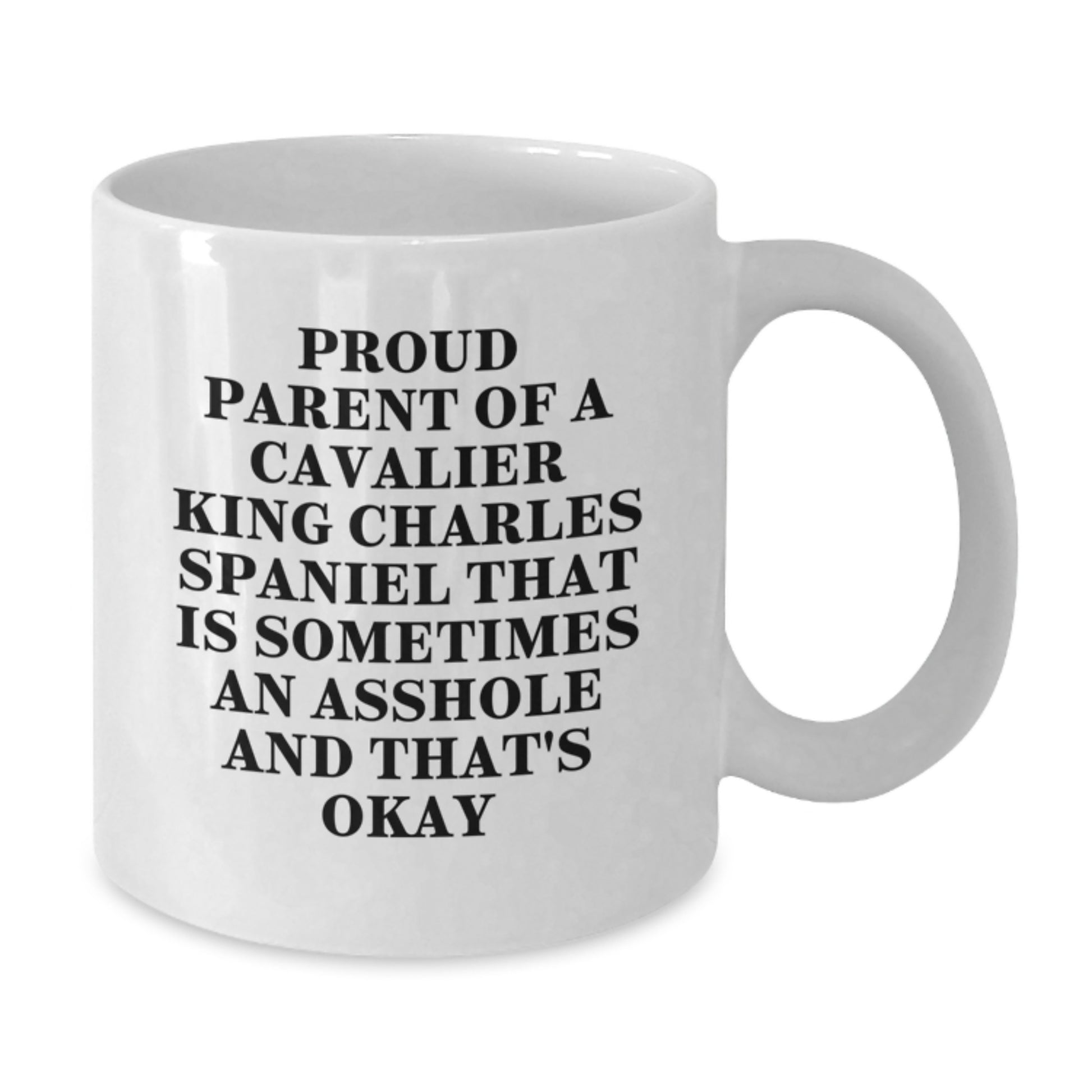 Funny Cavalier King Charles Spaniel Dog Gifts for Men, Women, Family - Proud Parent Mug White Coffee, Valentine's Unique Gifts from Friends to Family - Additional