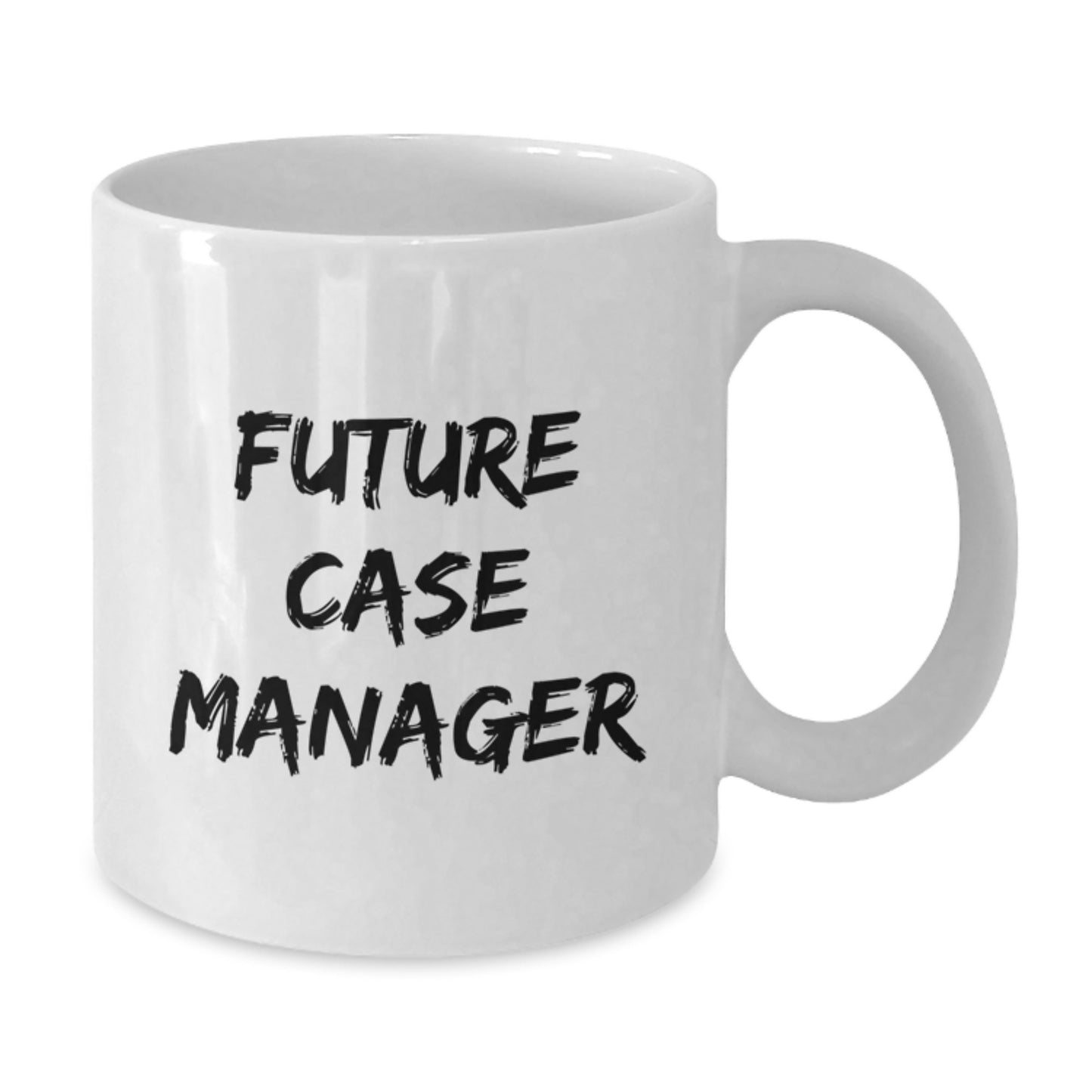 Funny Christmas Unique Gifts for Case Manager, Gifts from Friends to Future Case Manager, White Coffee Mug with Inspirational Quote - Additional