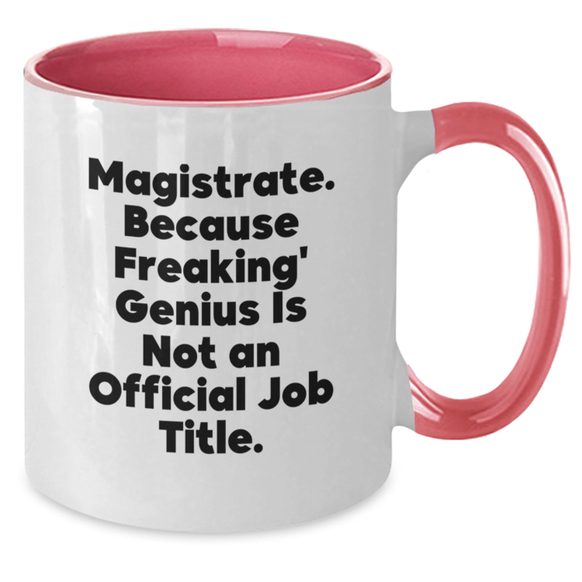 Magistrate Gifts from Friends to Magistrates - Funny Two Tone Coffee Mug with Christmas Unique Presents - Additional