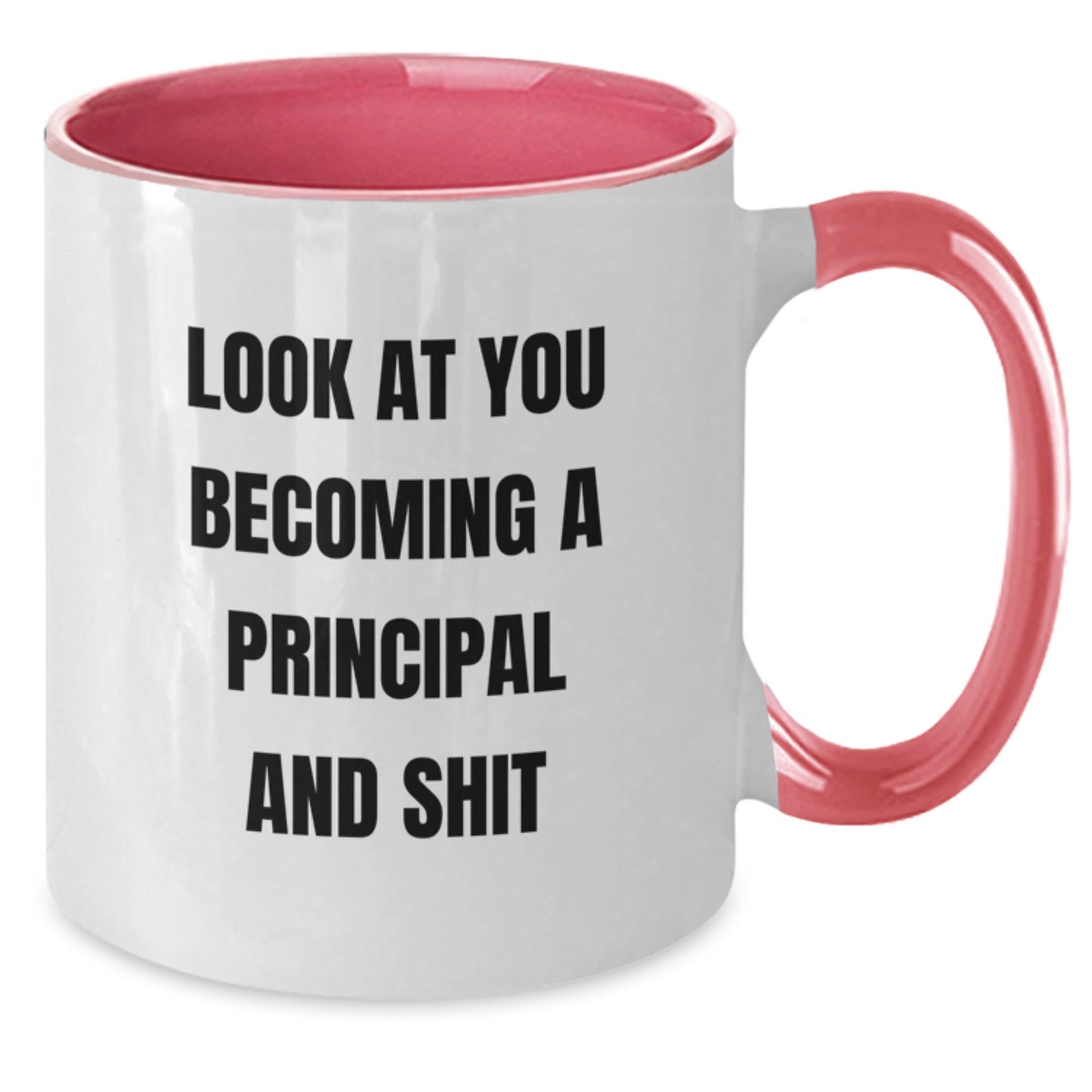 Funny Principal Gifts for Men, Unique Two Tone Coffee Mugs with Inspirational Quote, Gifts from Friends to Principal, Christmas Unique Gifts, Funny Mugs for Principal - Additional