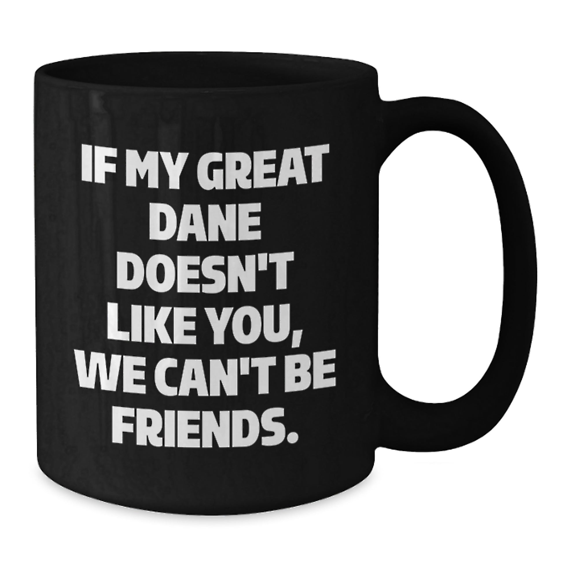 Funny Great Dane Dog Gifts for Men - Birthday Unique Mug with If My Great Dane Doesn't Like You We Can't Be Friends Quote, Great Dane Dog Lover Gift from Friends - Additional