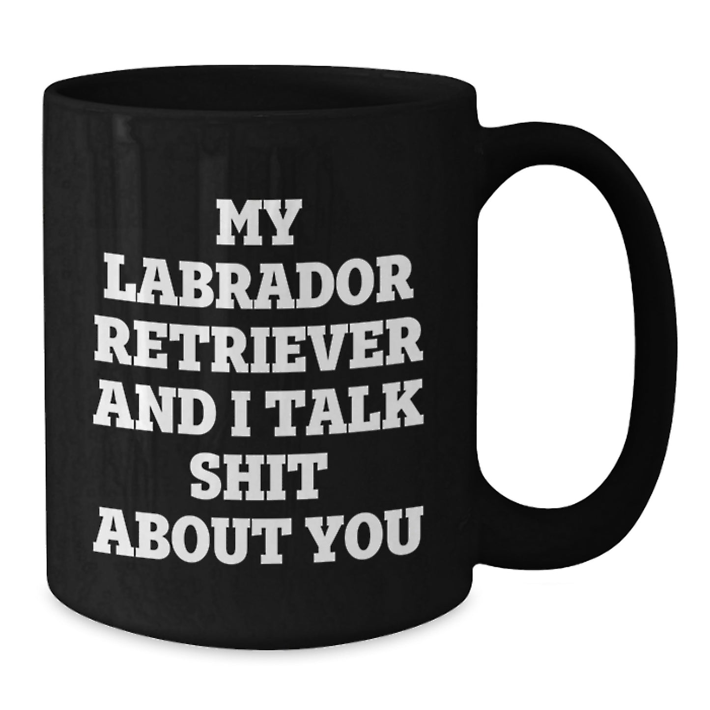 Funny Labrador Retriever Dog Gifts for Men - Unique Birthday Mug for Labrador Retriever Dog Owners from Family and Friends - My Labrador Retriever And I Talk Shit About You Coffee Mug - Additional