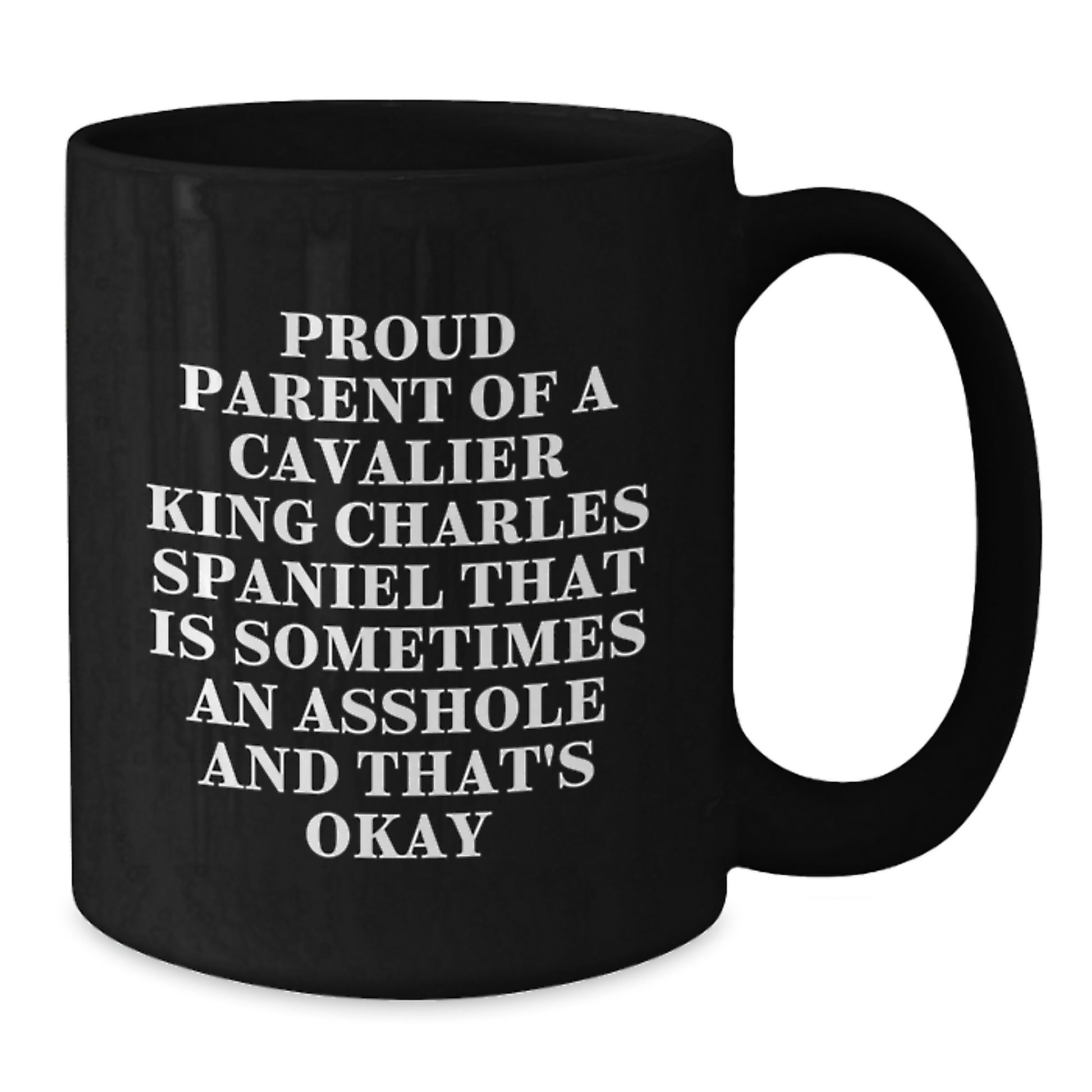 Funny Cavalier King Charles Spaniel Dog Valentine's Gifts from Men to Proud Parents, Black Coffee Mug - Additional