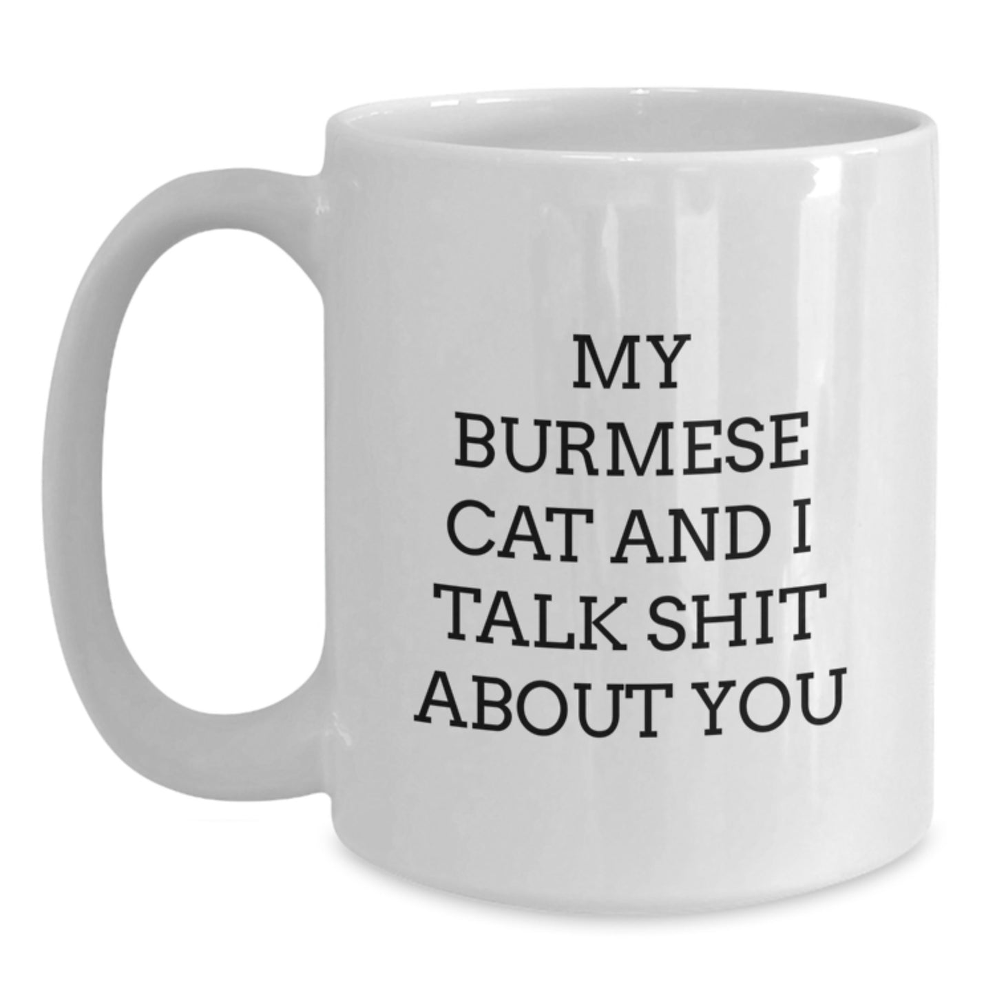 Funny Burmese Cat Gifts for Her, White Coffee Mug with My Burmese Cat And I Talk Shit About You Quote, Unique Mother's Day Unique Gifts from Friends - Main