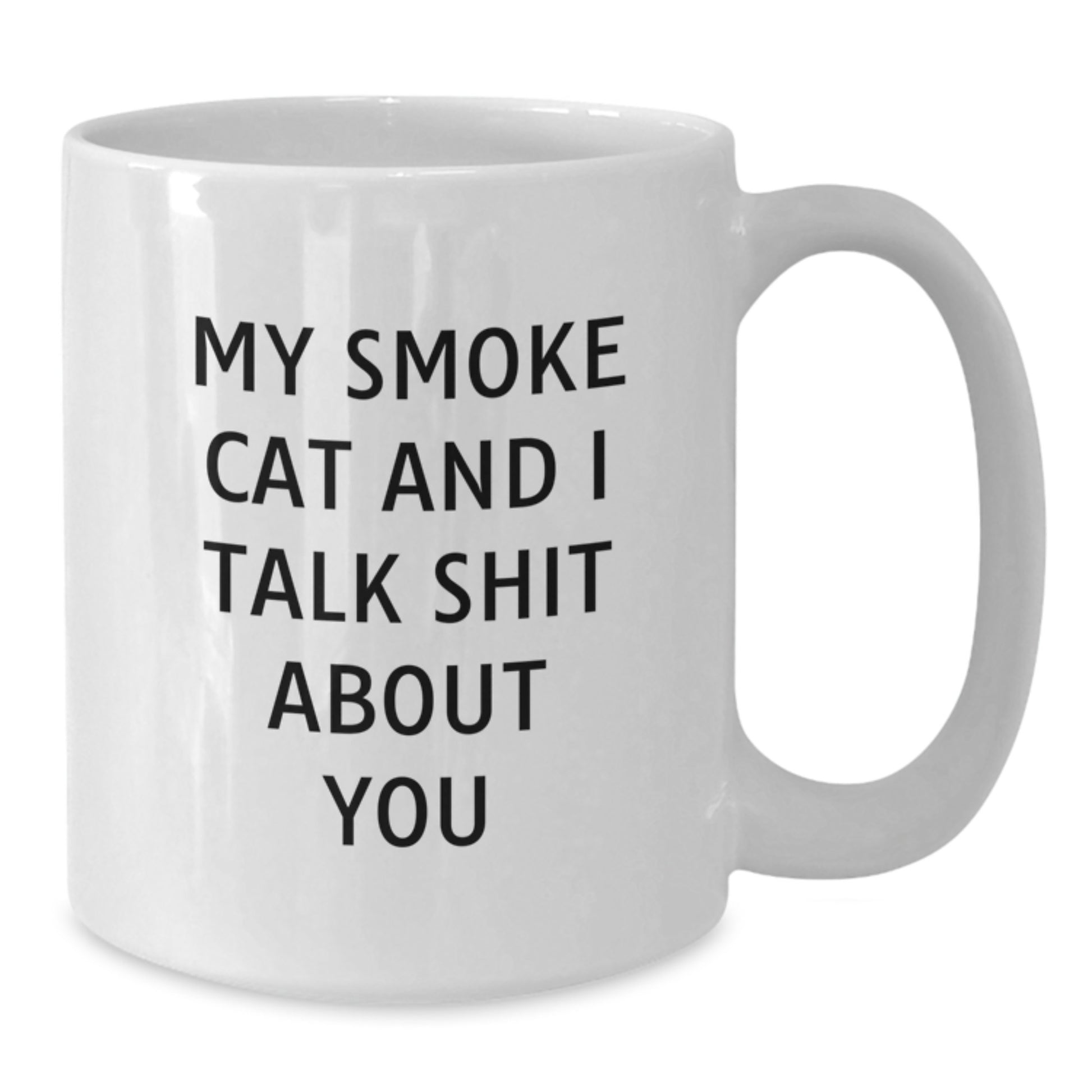 Funny Smoke Cat Gifts for Men Women Friends Family - My Smoke Cat And I Talk Shit About You White Coffee Mug for Christmas - Additional