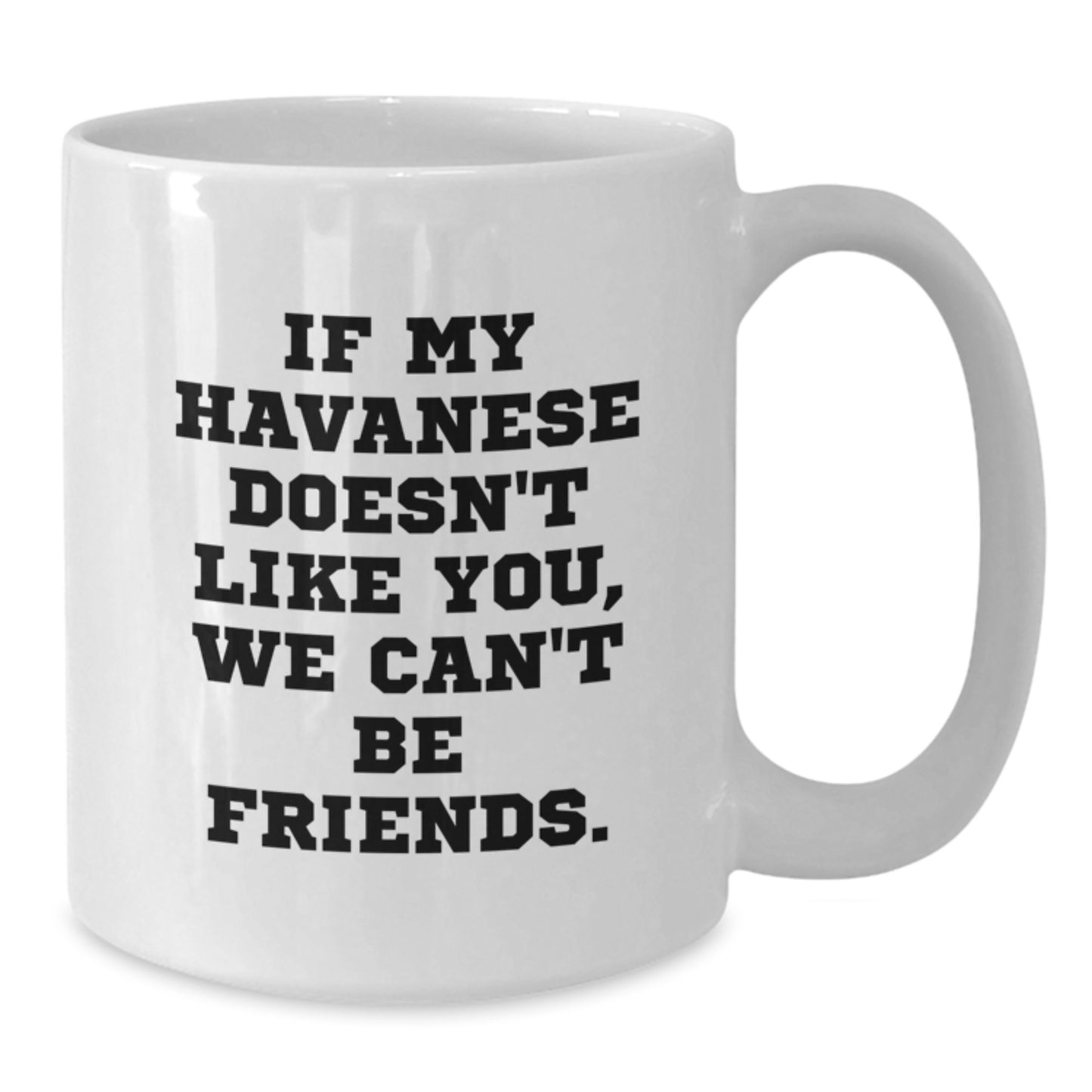 Funny Havanese Dog Lover Birthday Unique Gifts from Friends and Family for Havanese Dog Owners White Coffee Mug - Additional