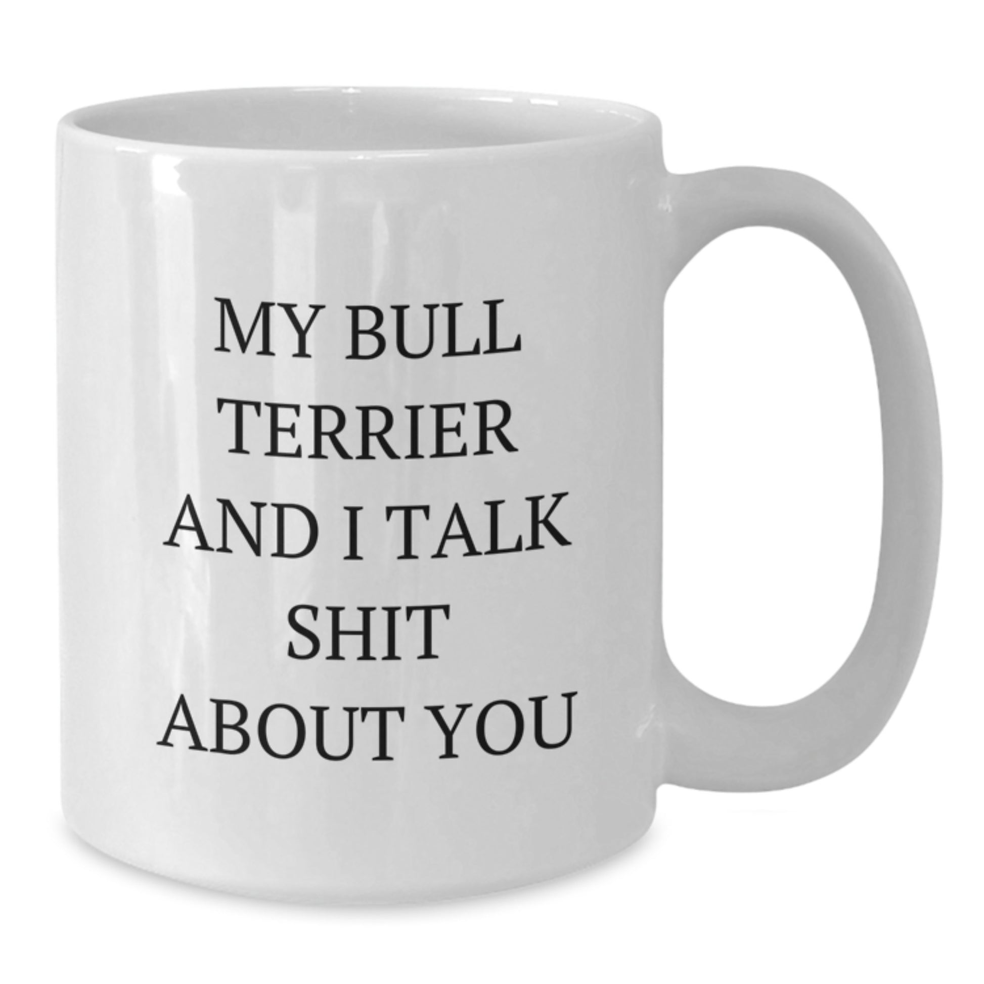 Funny Bull Terrier Dog Gifts from Friends for Birthday, White Coffee Mug with 'My Bull Terrier And I Talk Shit About You' Quote - Additional