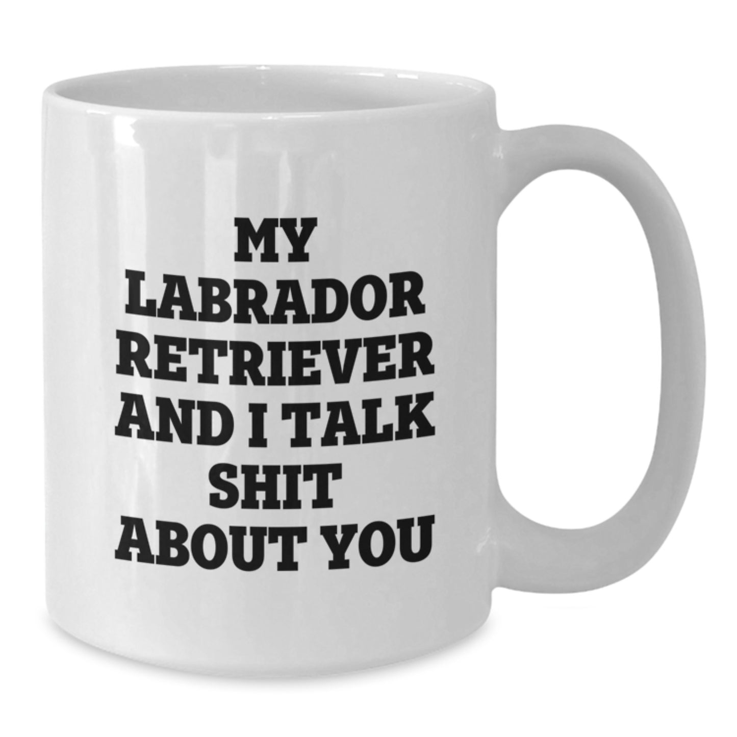 Funny Gifts from Friends to Family for Labrador Retriever Dog Lover - My Labrador Retriever And I Talk Shit About You White Coffee Mug for Birthday - Additional