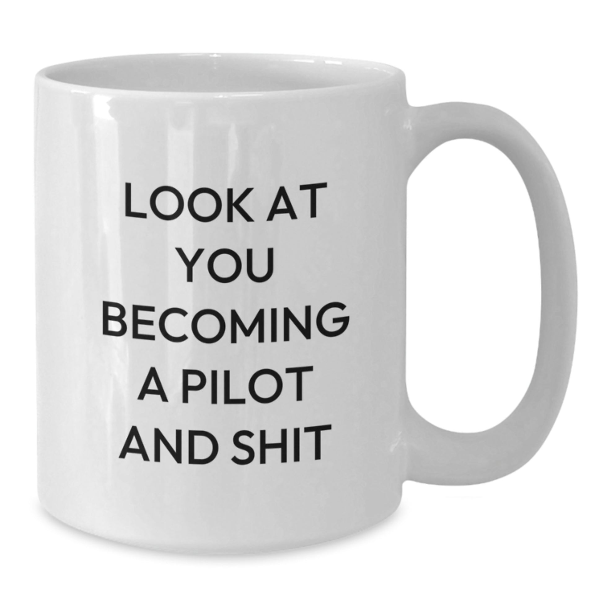 Funny Pilot White Coffee Mug Gifts for Friends, Men, Women, from Family and Friends, Perfect Graduation Unique Gifts - Additional