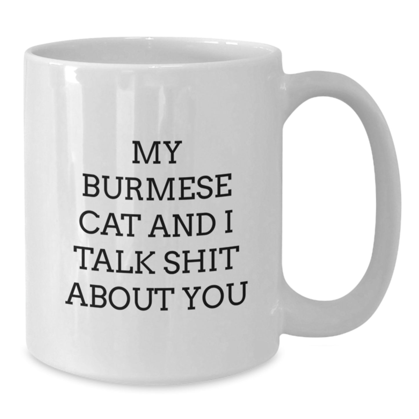 Funny Burmese Cat Gifts for Her, White Coffee Mug with My Burmese Cat And I Talk Shit About You Quote, Unique Mother's Day Unique Gifts from Friends - Additional