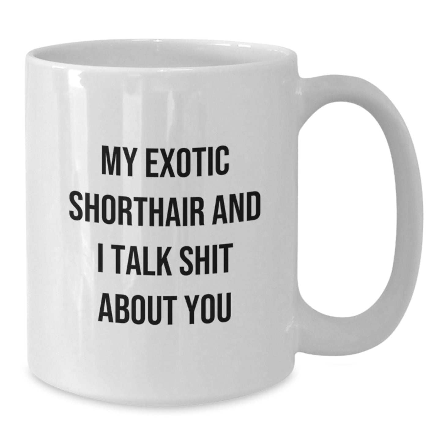 Funny Gifts for Exotic Shorthair Cat Lovers - White Coffee Mug for Mom - Exotic Shorthair Cat and I Talk Shit About You - Unique White Coffee Mug for Women - Gifts from Family - Additional