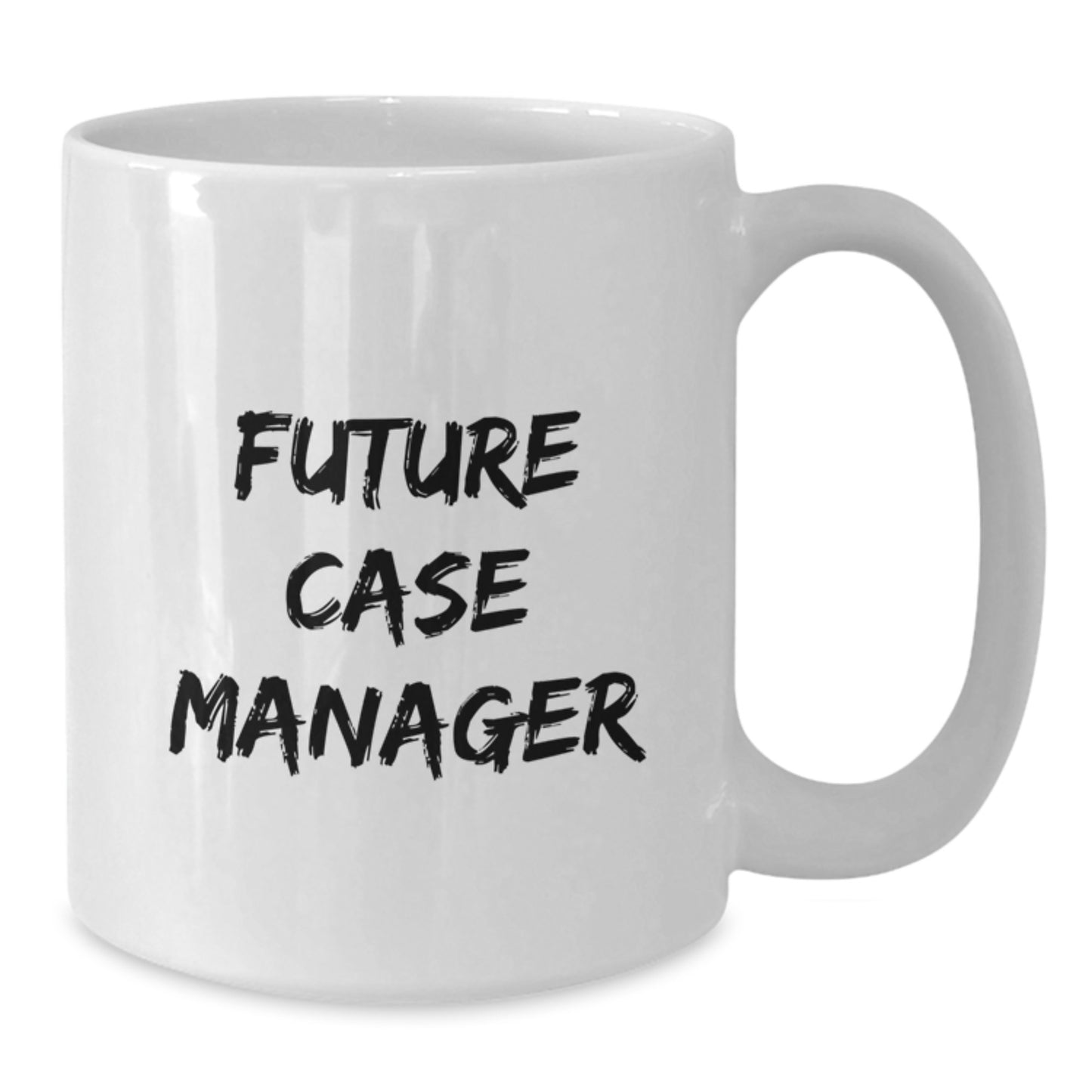 Funny Christmas Unique Gifts for Case Manager, Gifts from Friends to Future Case Manager, White Coffee Mug with Inspirational Quote - Additional