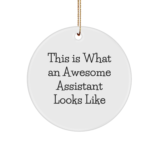 Funny Christmas Unique Gifts from Friends for Awesome Assistant Circle Ornament 'This Is What An Awesome Assistant Looks Like' - Image 1