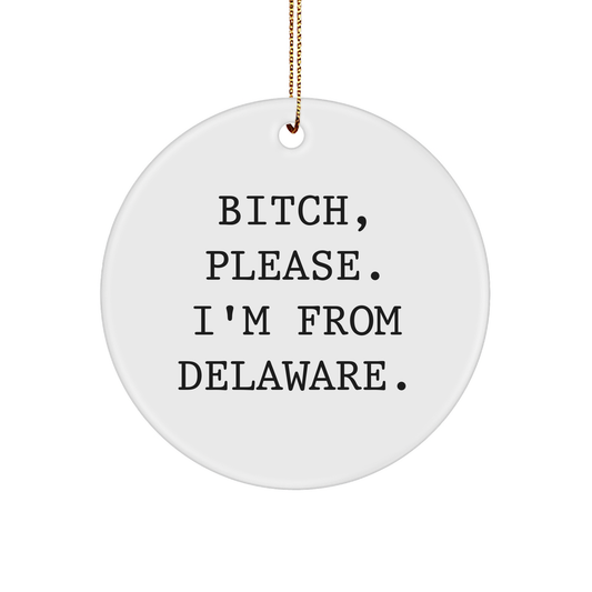 Delaware Circle Ornament, Funny Quote Lover Gifts, B-tch Please I'm From Delaware Christmas Ornament, Gifts for Women - Image 1