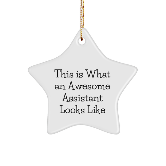 Funny Assistant Gifts from Friends and Family, This Is What An Awesome Assistant Looks Like White Star Ornament for Christmas - Image 1