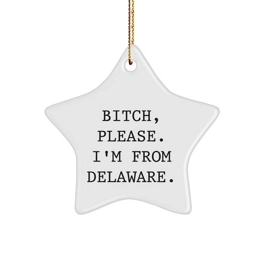 B-tch Please I'm From Delaware Star Ornament Funny Delaware Gifts for Family Friends Coworkers, Christmas Unique Gifts for Him Her - Image 1