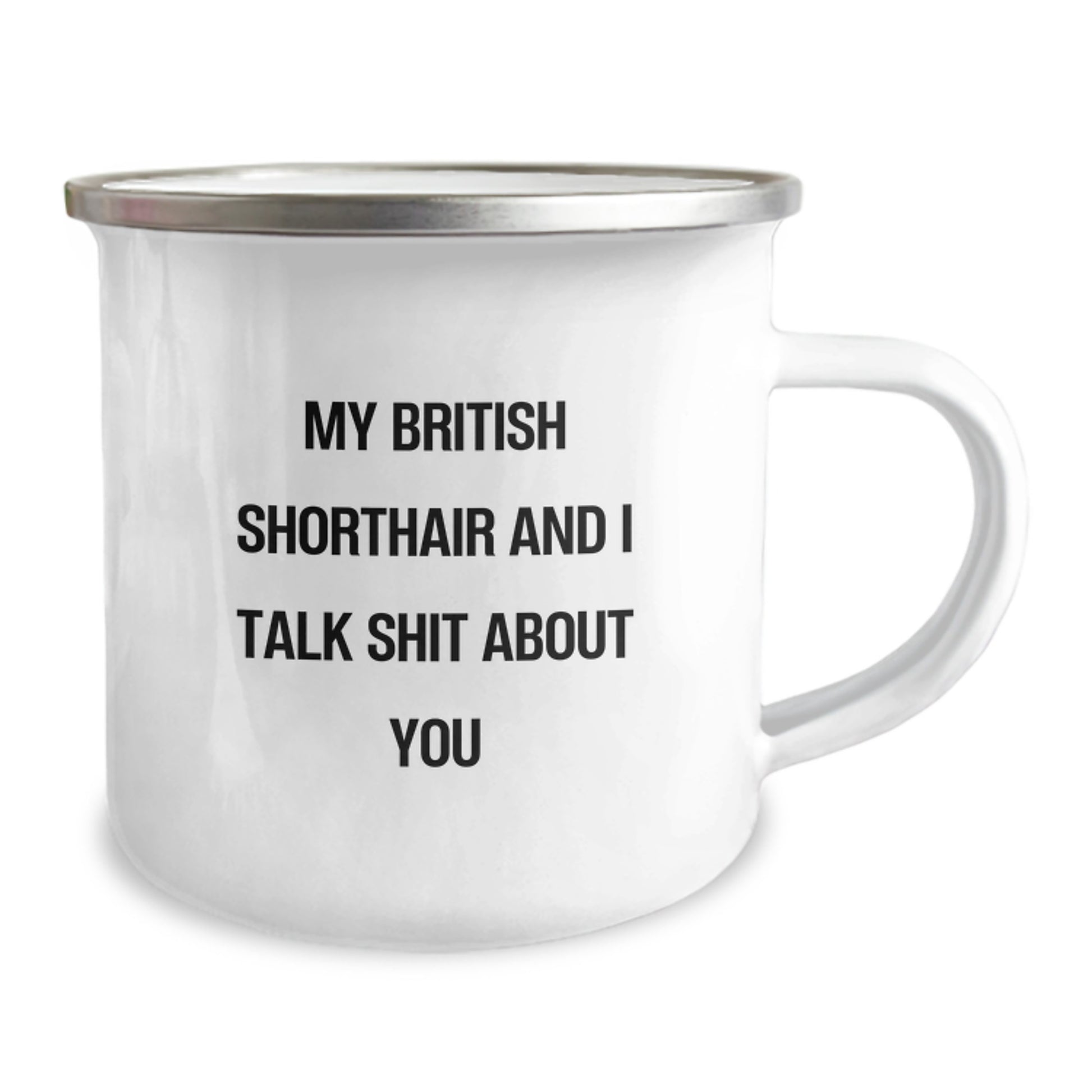 Funny British Shorthair Cat Gifts for Cat Lovers, Men, Women, Friends, and Family - My British Shorthair And I Talk Shit About You Christmas Unique Mugs for Camping - Image 2