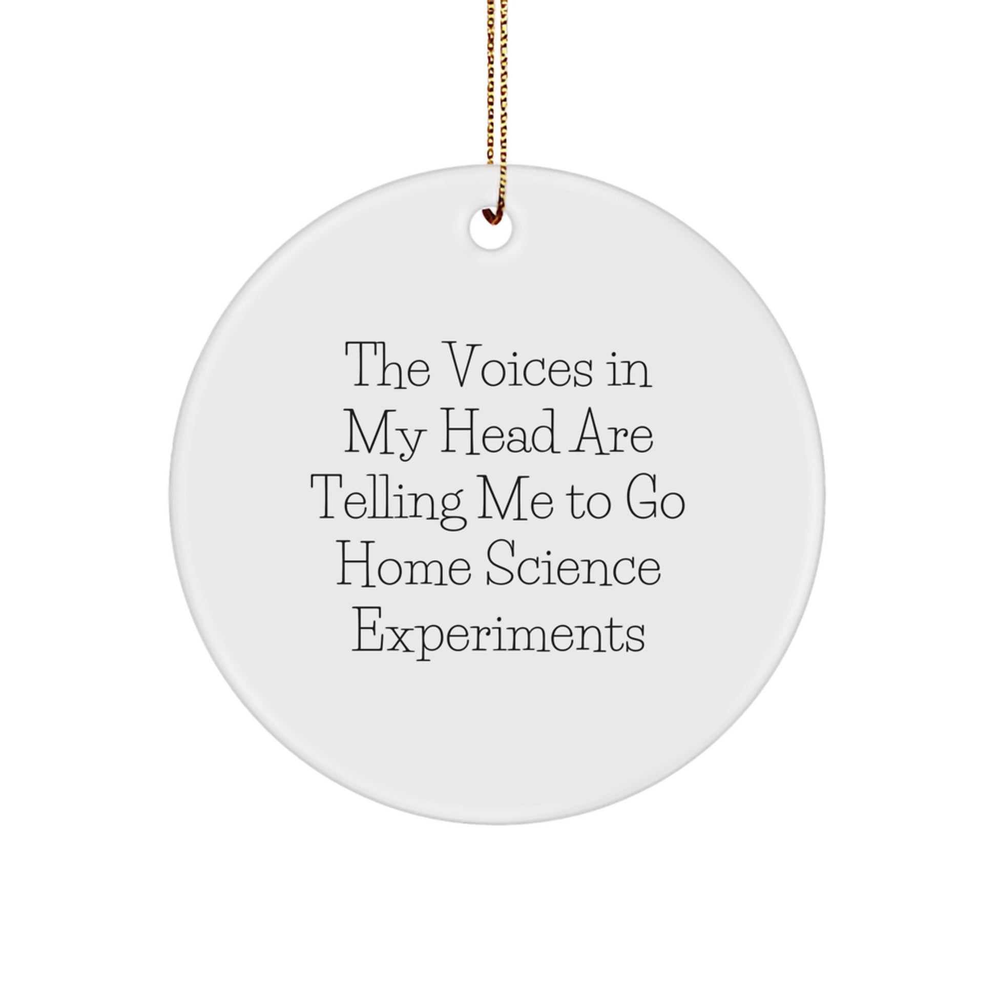 Funny Christmas Unique Gifts for Home Science Experiments Enthusiasts, 'The Voices In My Head Are Telling Me To Go' Circle Ornament from Friends - Image 1