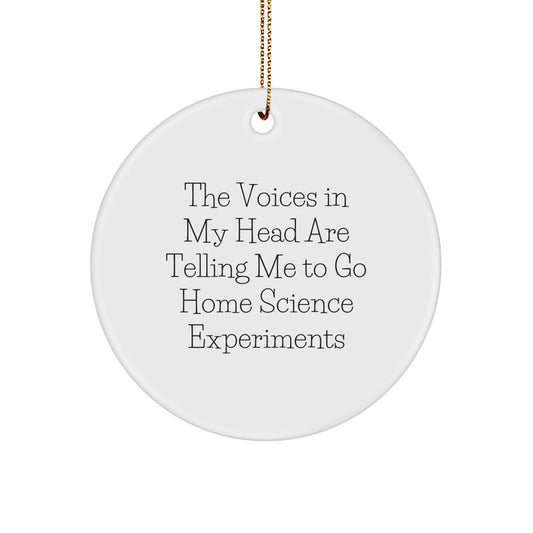 Funny Christmas Unique Gifts for Home Science Experiments Enthusiasts, 'The Voices In My Head Are Telling Me To Go' Circle Ornament from Friends - Image 1