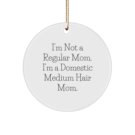 Domestic Medium Hair Circle Ornament Holiday Gift for Coworkers Idea - Image 1