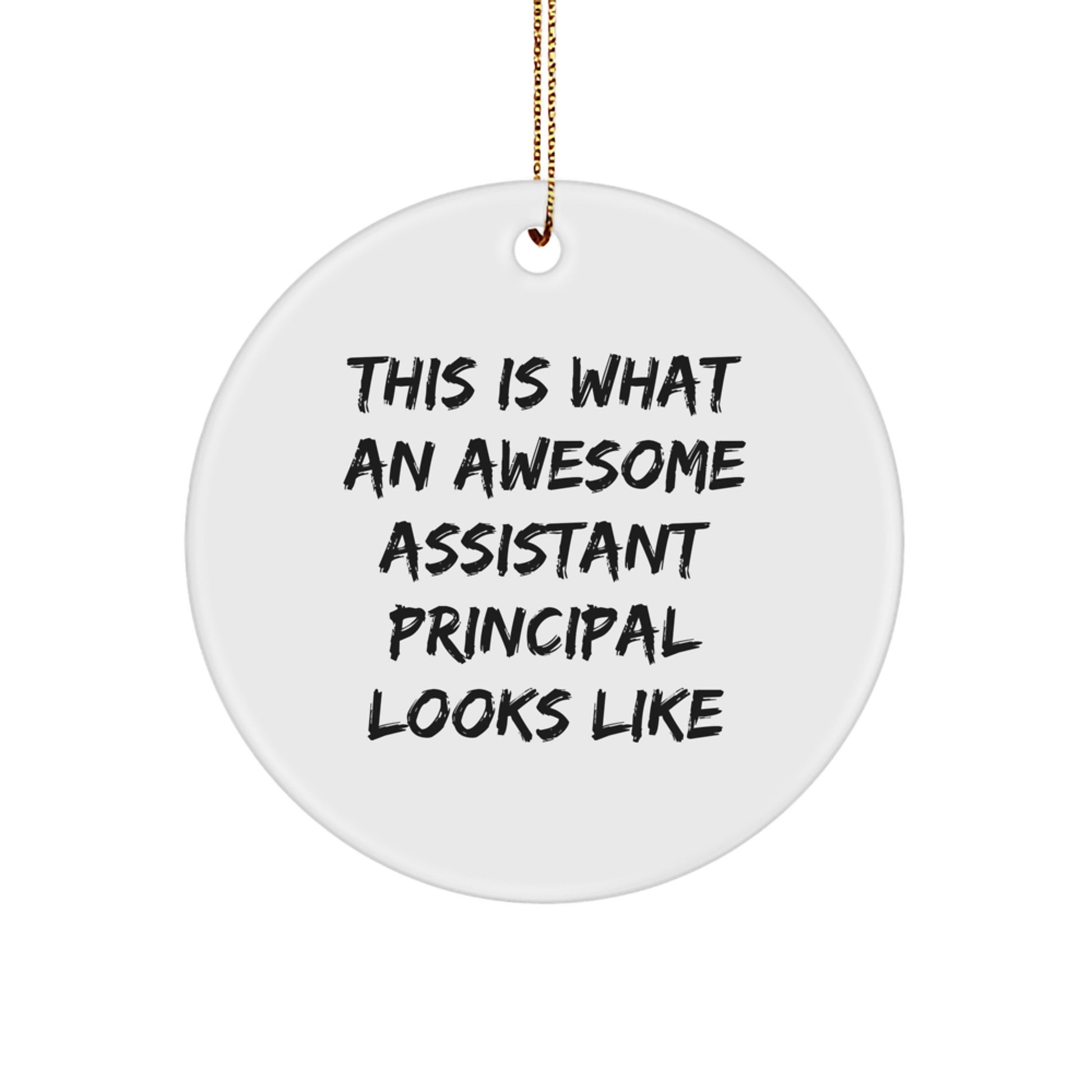 Funny Gifts for Assistant Principal - This Is What An Awesome Assistant Principal Looks Like Circle Ornament, Christmas Unique Gifts from Friends - Image 1
