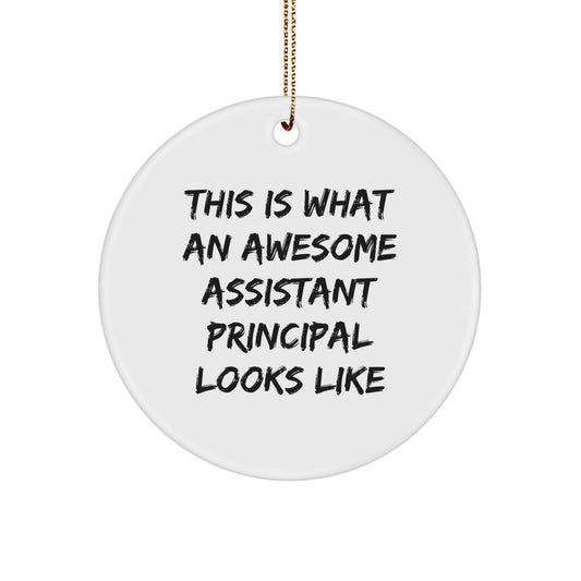 Funny Gifts for Assistant Principal - This Is What An Awesome Assistant Principal Looks Like Circle Ornament, Christmas Unique Gifts from Friends - Image 1