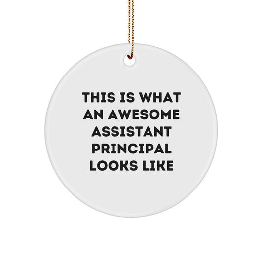 Funny Assistant Principal Gifts for Men from Friends - This Is What An Awesome Assistant Principal Looks Like Christmas Unique Circle Ornament - Image 1
