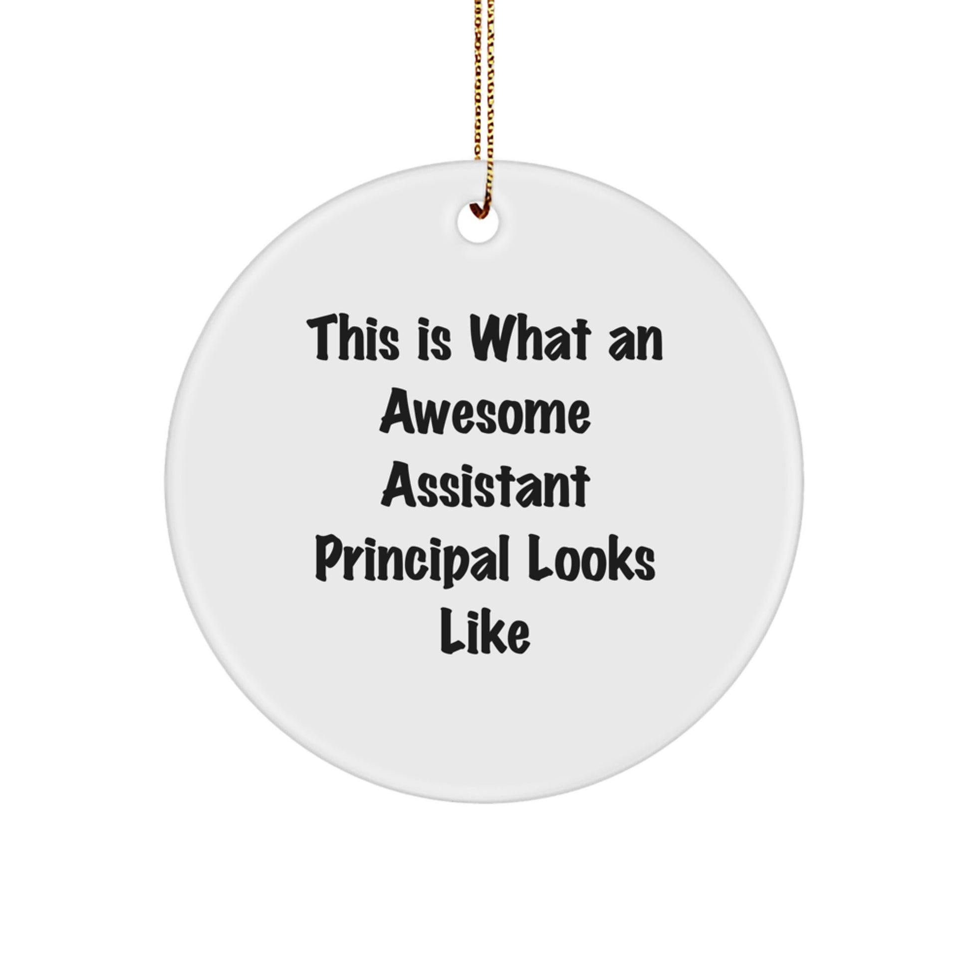 Funny Assistant Principal Gifts, Unique Christmas Circle Ornament with Inspirational Quotes, Gifts from Friends, Family, or Coworkers for Men, Women, or Any Assistant Principal - Image 1