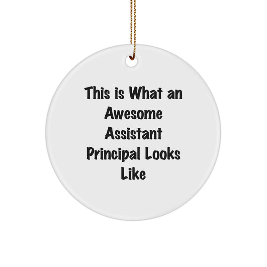 Funny Assistant Principal Gifts, Unique Christmas Circle Ornament with Inspirational Quotes, Gifts from Friends, Family, or Coworkers for Men, Women, or Any Assistant Principal - Image 1