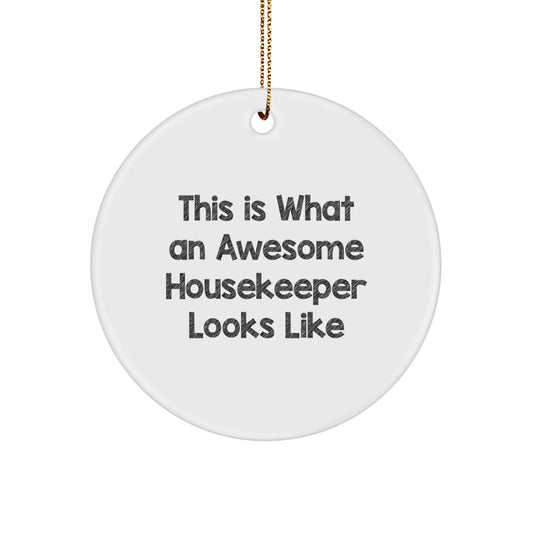 Funny Housekeeper Gifts from Men to Awesome Housekeeper Friends for Christmas Unique Gifts - Image 1