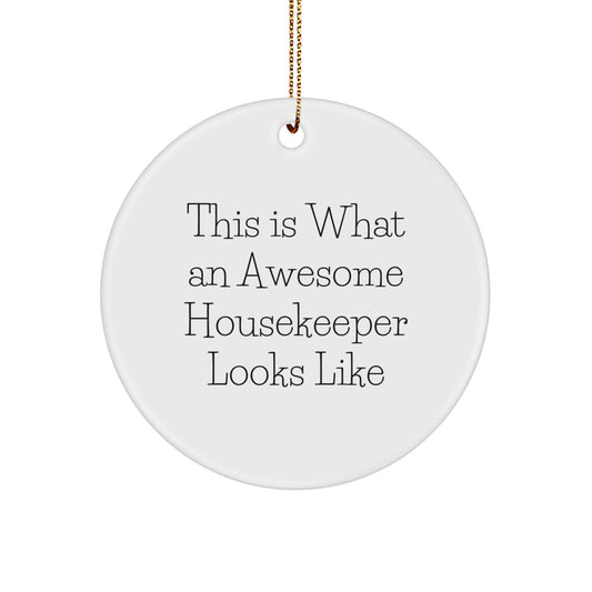 Funny Housekeeper Gifts from Men, Gifts for Housekeeper Women, Funny Christmas Unique Ornaments, This Is What An Awesome Housekeeper Looks Like Circle Ornament - Image 1