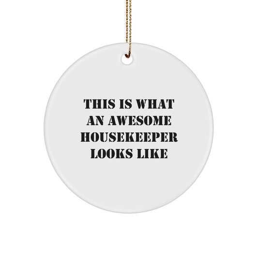Housekeeper Gifts for Women, This Is What An Awesome Housekeeper Looks Like Funny Quote Circle Ornament, Christmas Unique Gifts from Friends - Image 1