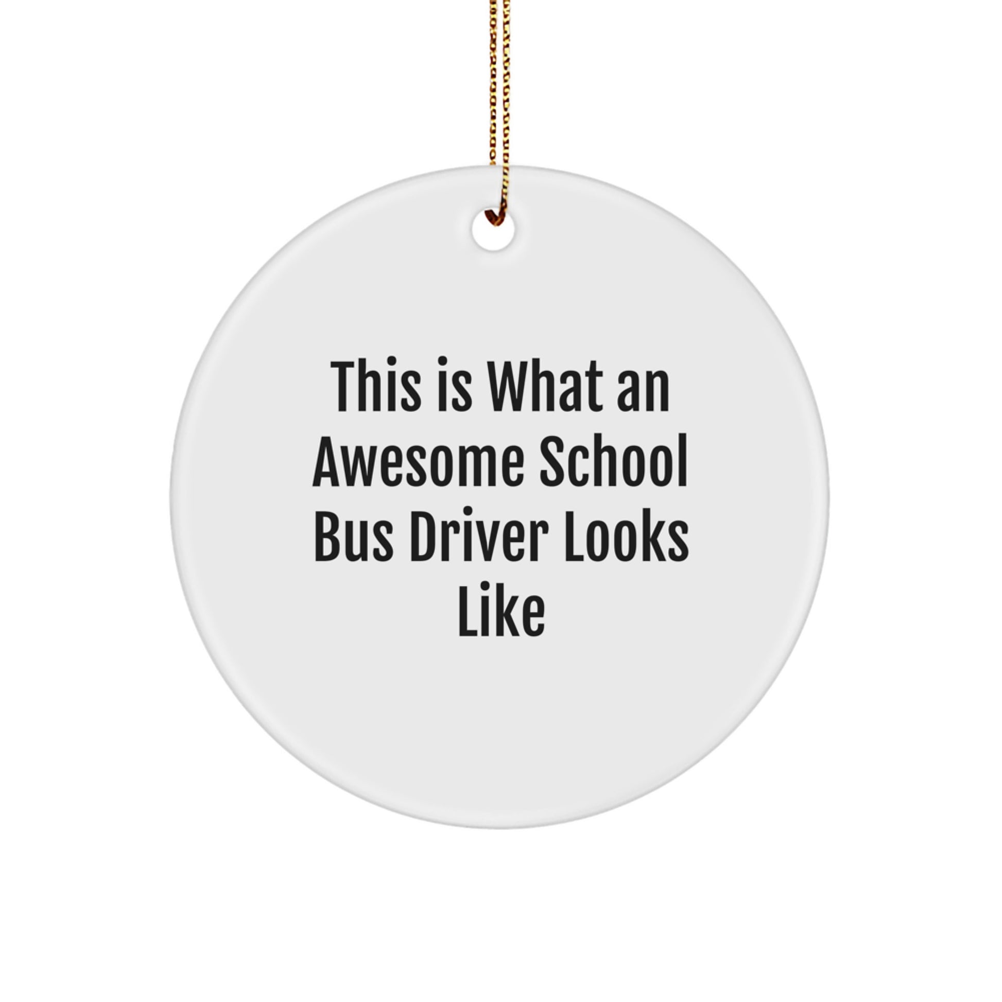 Funny School Bus Driver Gifts for Christmas - This Is What An Awesome School Bus Driver Looks Like Circle Ornament, Gifts from Friends and Family - Image 1