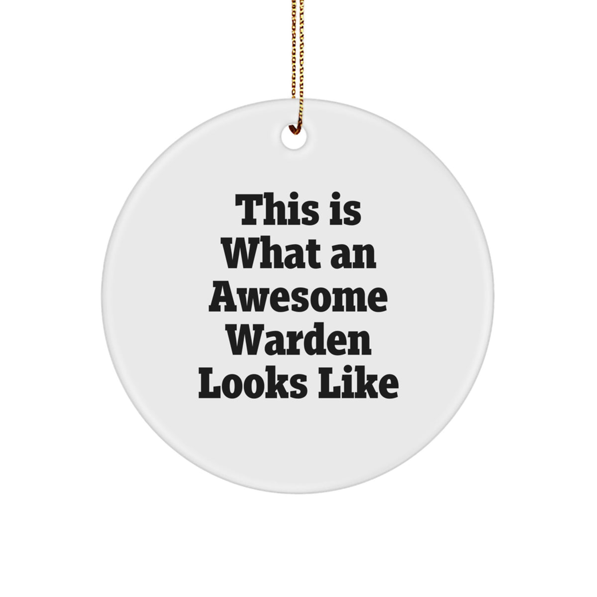 Christmas Unique Gift Warden Circle Ornament Surprise for Teens Holiday - Image 1