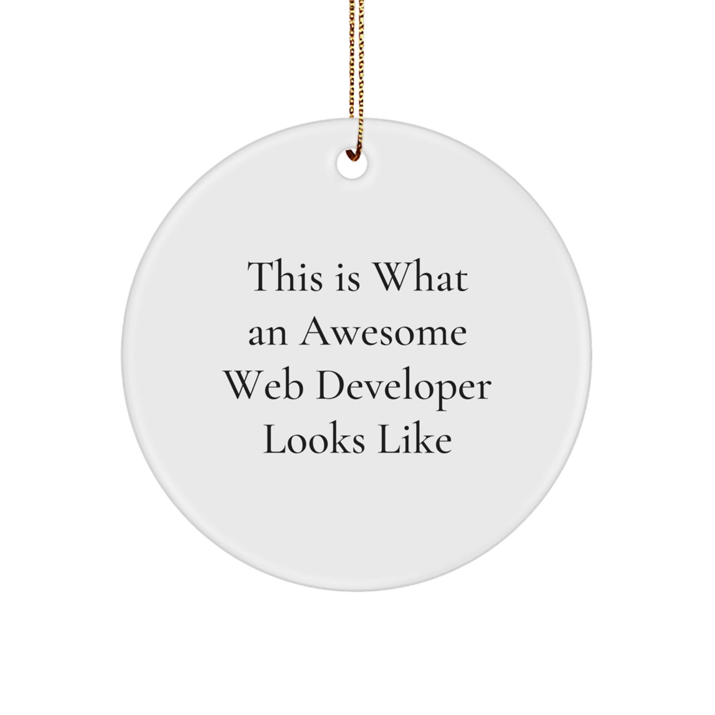 Gifts from Family for Web Developers, 'This Is What An Awesome Web Developer Looks Like', Unique Christmas Unique Gifts, Circle Ornament, Web Developer Appreciation, Office Decor - Image 1