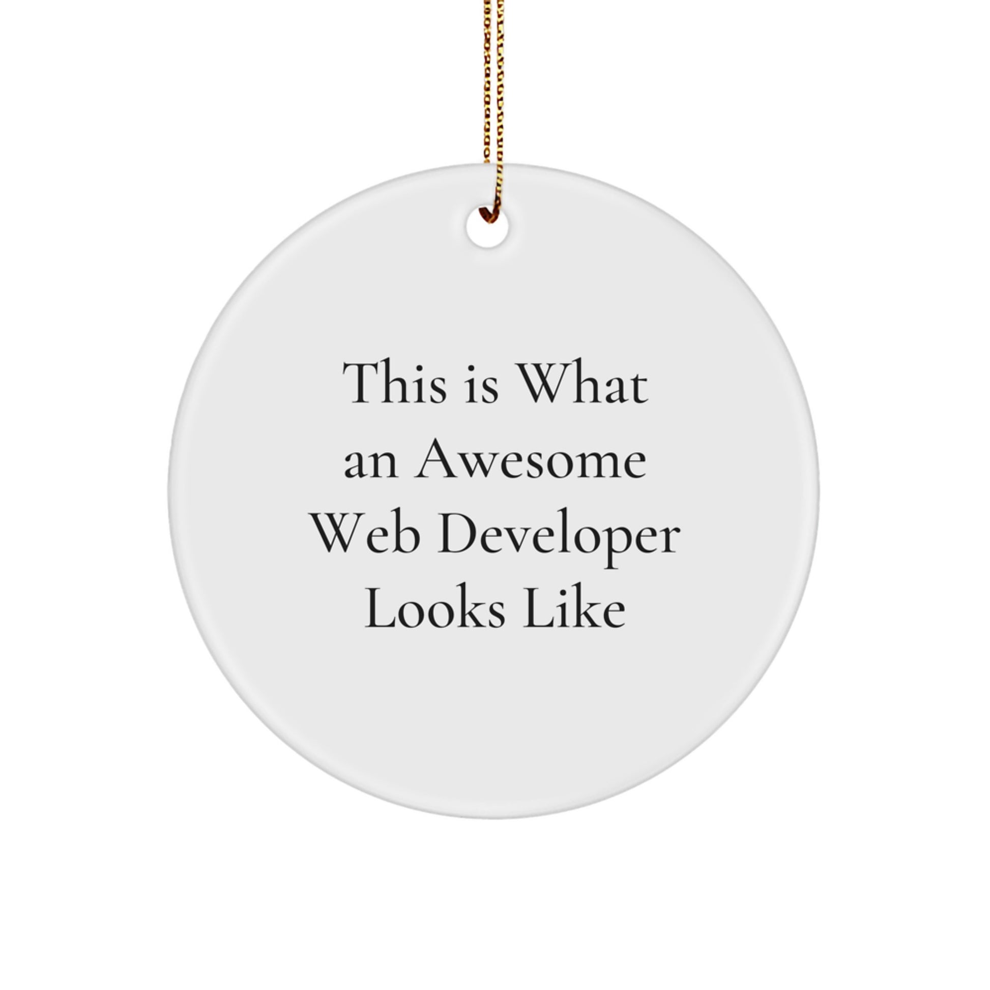 Gifts from Family for Web Developers, 'This Is What An Awesome Web Developer Looks Like', Unique Christmas Unique Gifts, Circle Ornament, Web Developer Appreciation, Office Decor - Image 1
